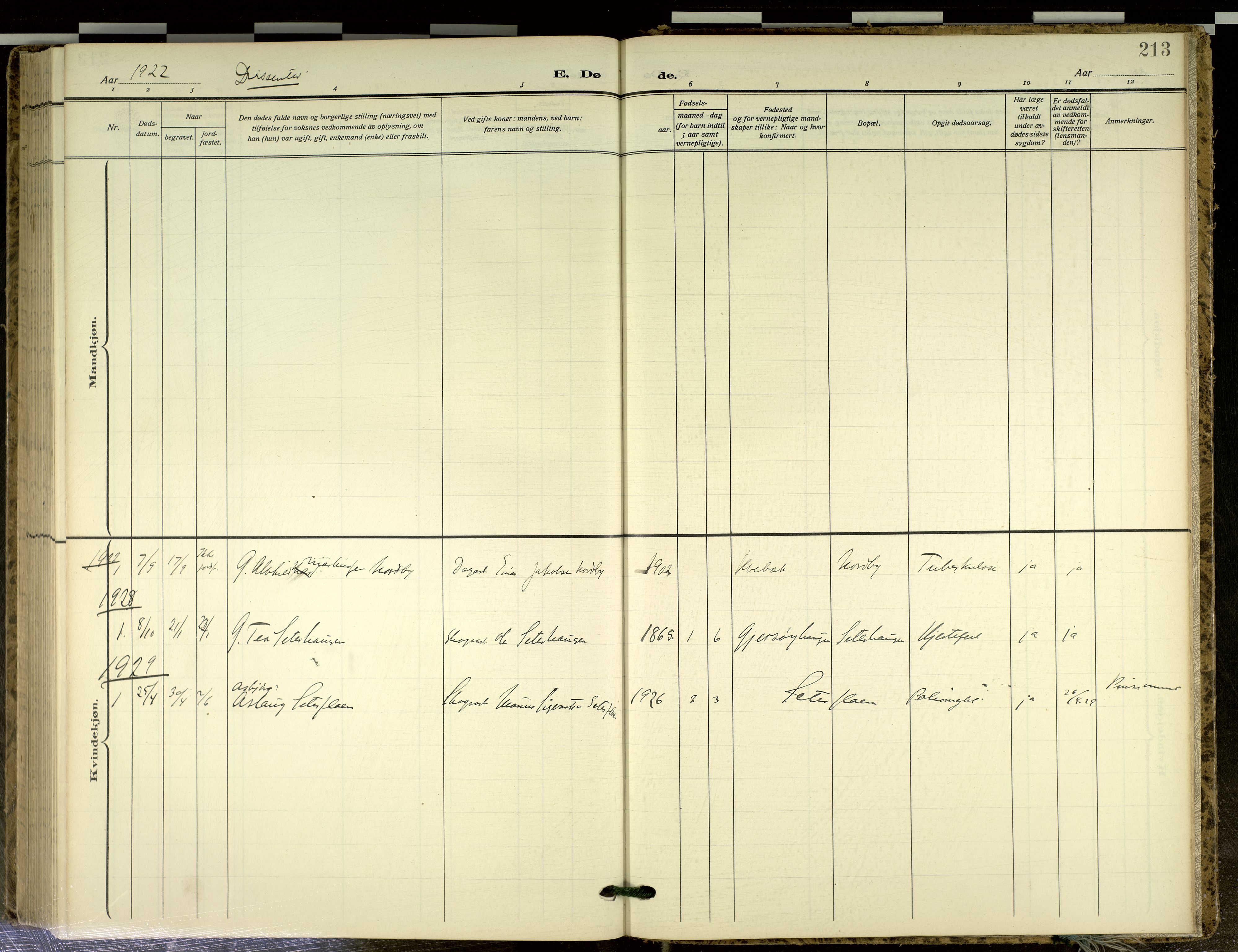 Sør-Odal prestekontor, AV/SAH-PREST-030/H/Ha/Haa/L0020: Ministerialbok nr. 20, 1906-2012, s. 213