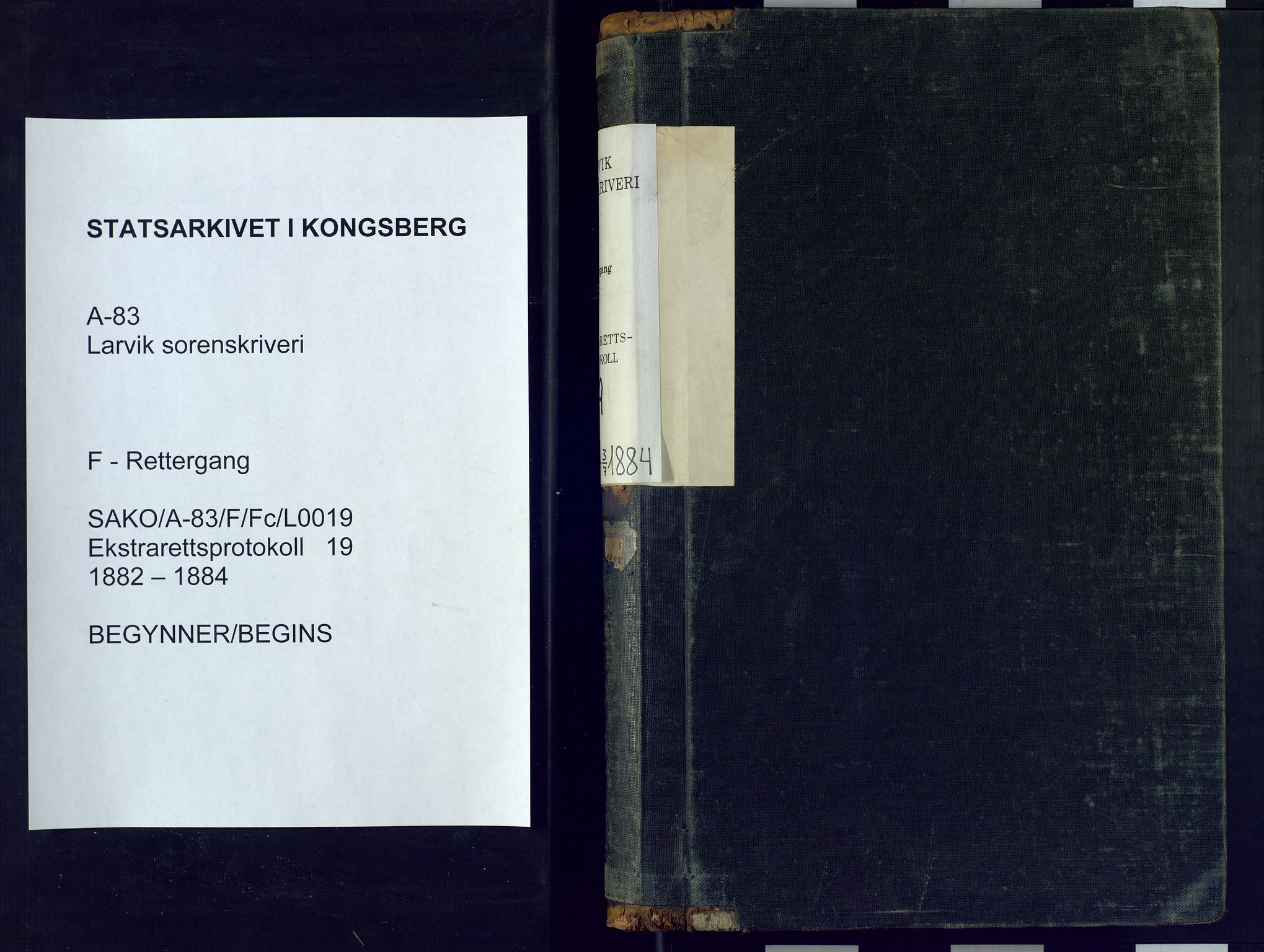 Larvik sorenskriveri, SAKO/A-83/F/Fc/L0019: Ekstrarettsprotokoll, 1882-1884