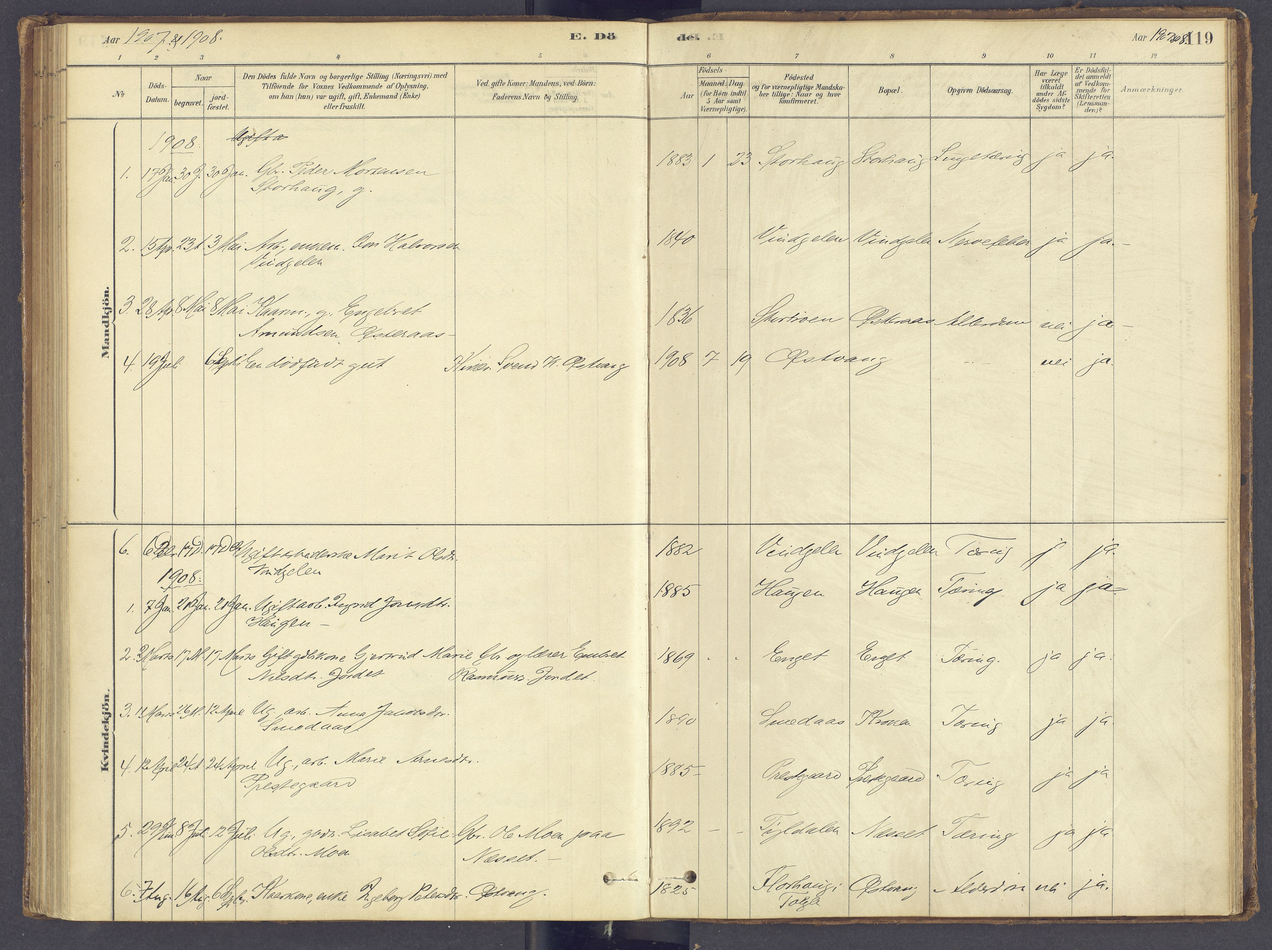 Tolga prestekontor, AV/SAH-PREST-062/K/L0012: Ministerialbok nr. 12, 1877-1925, s. 119