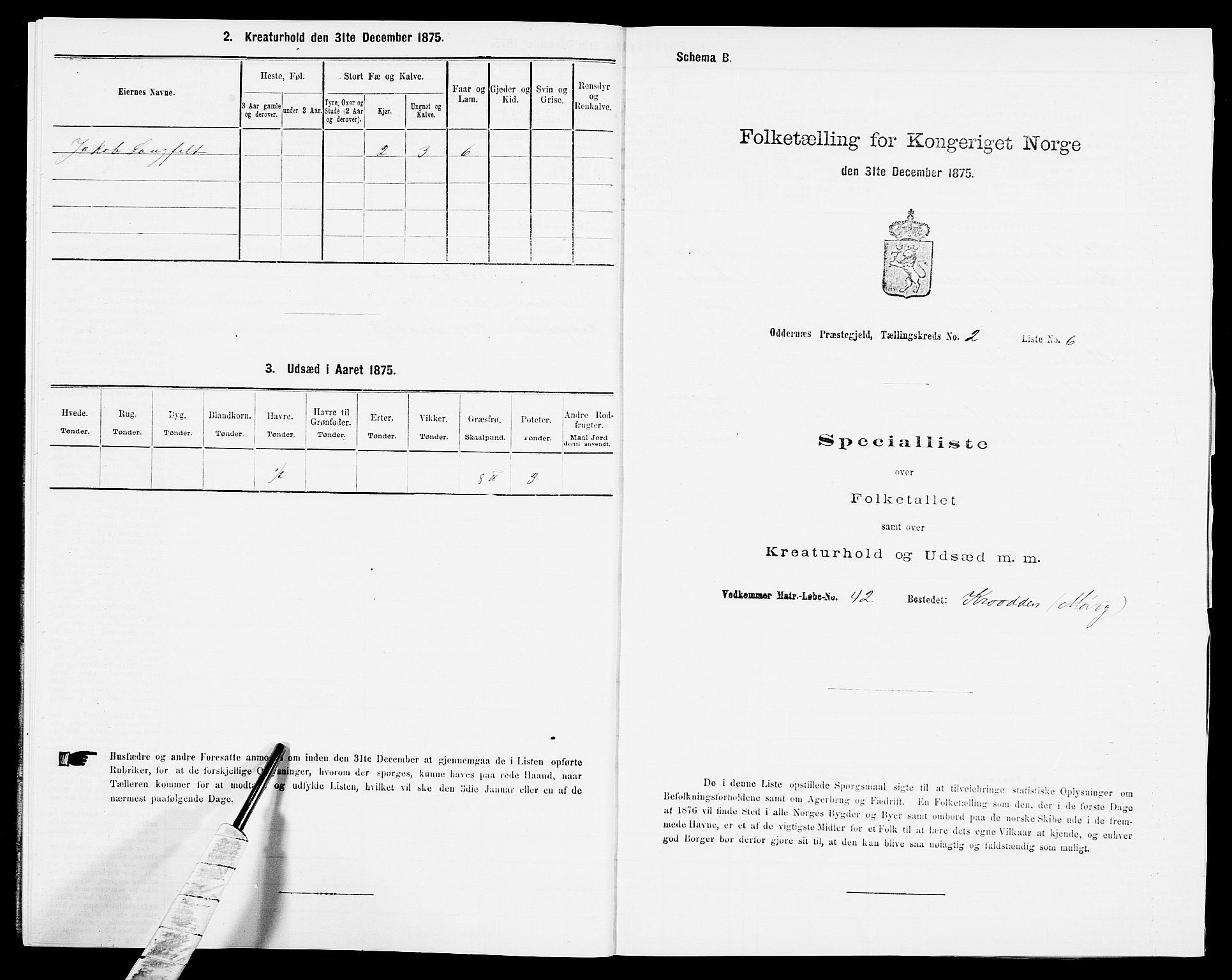 SAK, Folketelling 1875 for 1012P Oddernes prestegjeld, 1875, s. 284