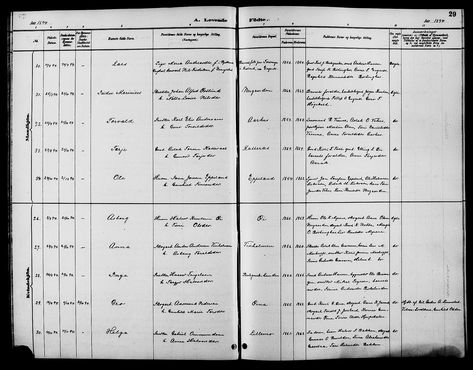 Åmli sokneprestkontor, AV/SAK-1111-0050/F/Fb/Fbc/L0004: Klokkerbok nr. B 4, 1889-1902, s. 29