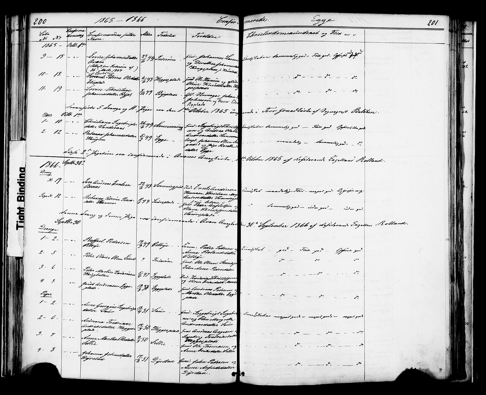 Ministerialprotokoller, klokkerbøker og fødselsregistre - Nord-Trøndelag, AV/SAT-A-1458/739/L0367: Ministerialbok nr. 739A01 /3, 1838-1868, s. 200-201