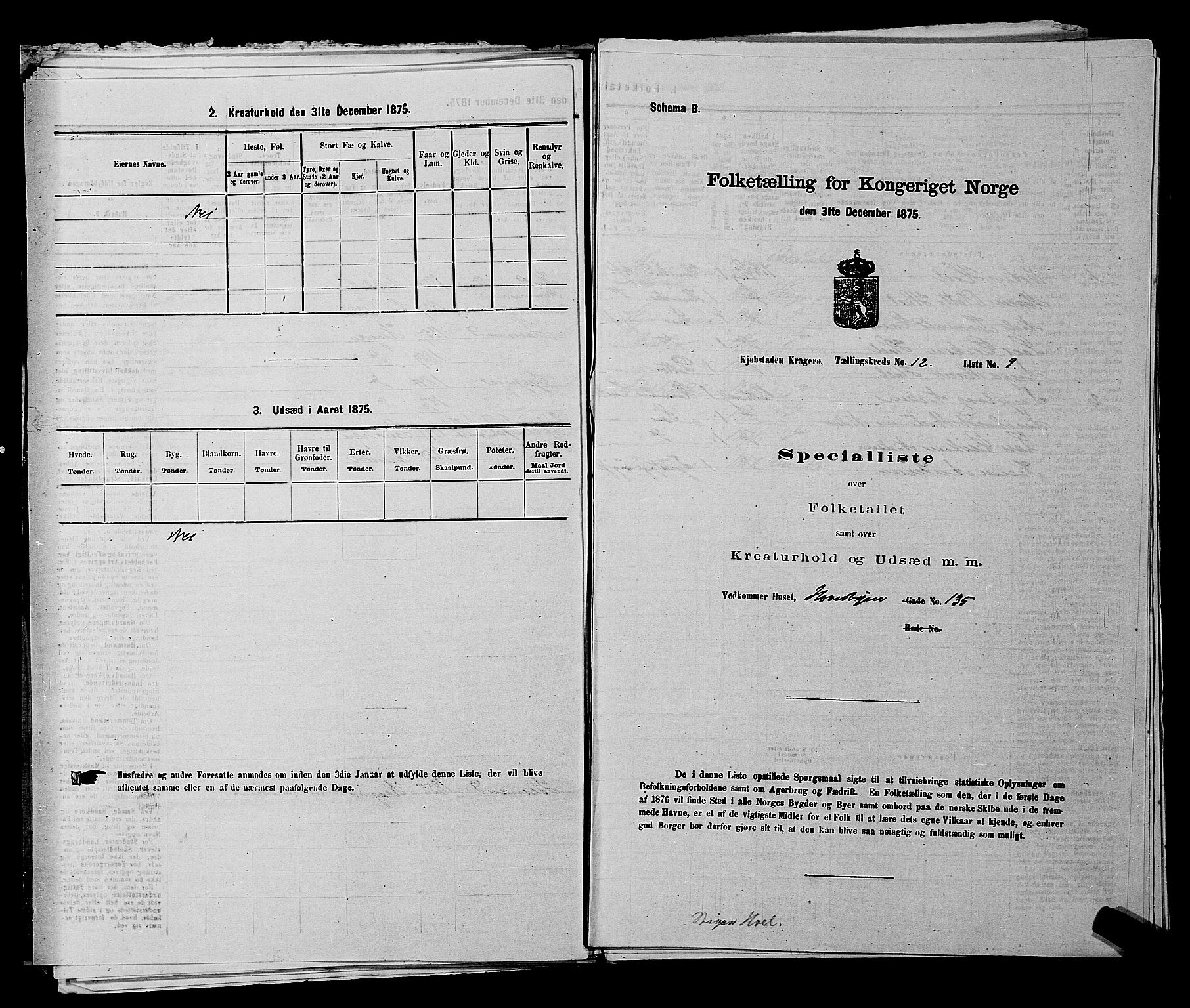 SAKO, Folketelling 1875 for 0801P Kragerø prestegjeld, 1875, s. 271