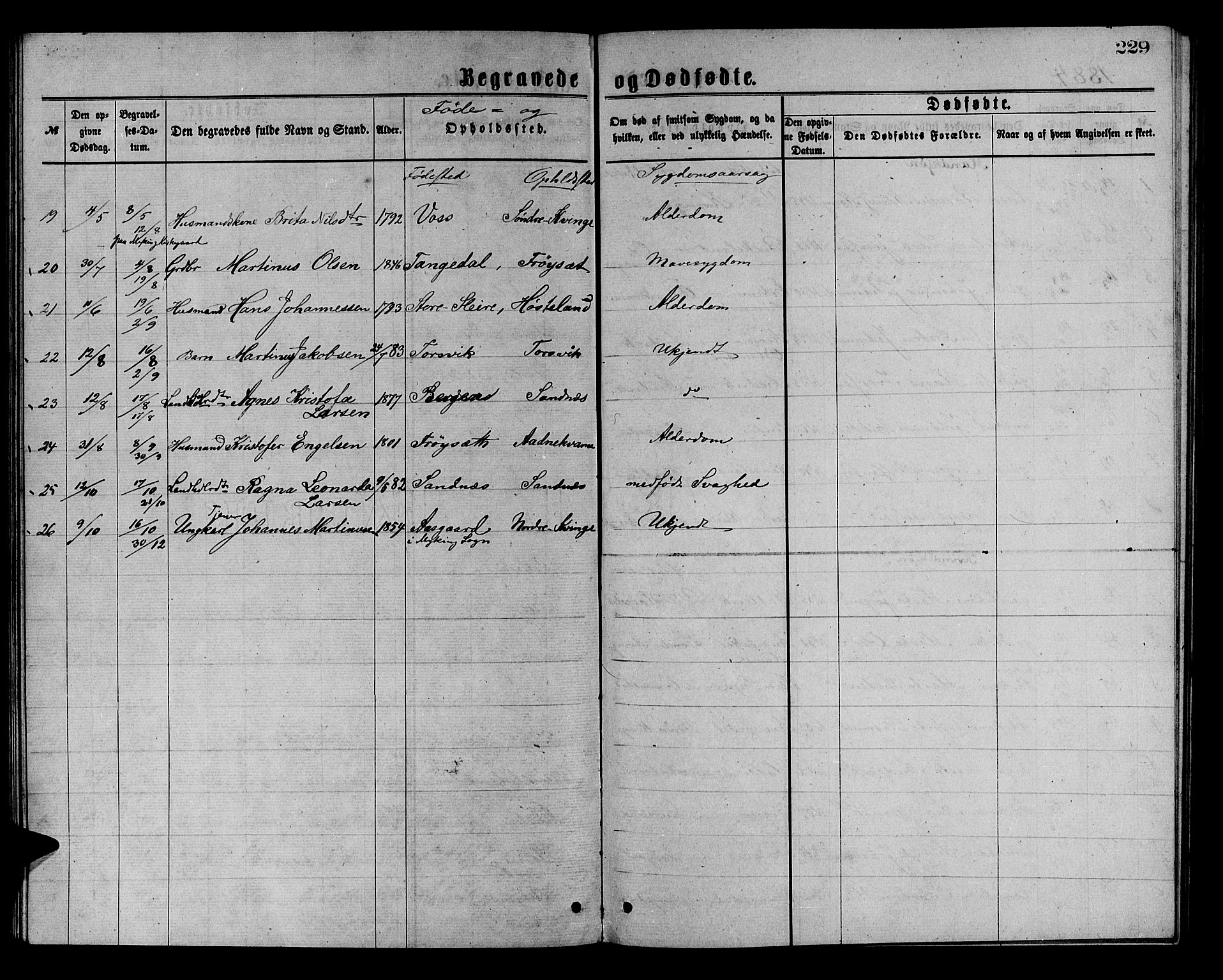 Masfjorden sokneprestembete, AV/SAB-A-77001: Klokkerbok nr. A 2, 1876-1891, s. 229