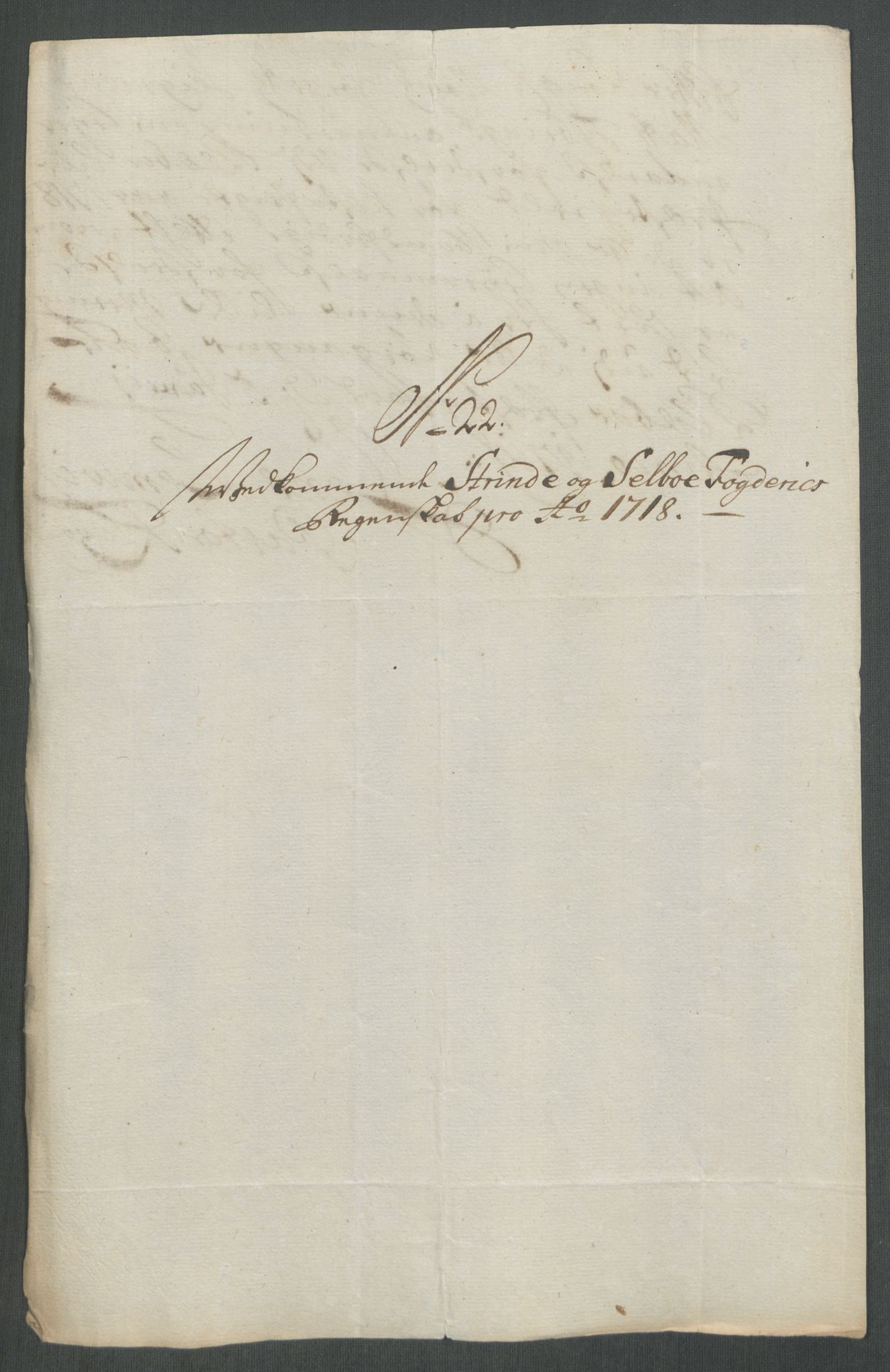 Rentekammeret inntil 1814, Reviderte regnskaper, Fogderegnskap, RA/EA-4092/R61/L4116: Fogderegnskap Strinda og Selbu, 1717-1718, s. 458