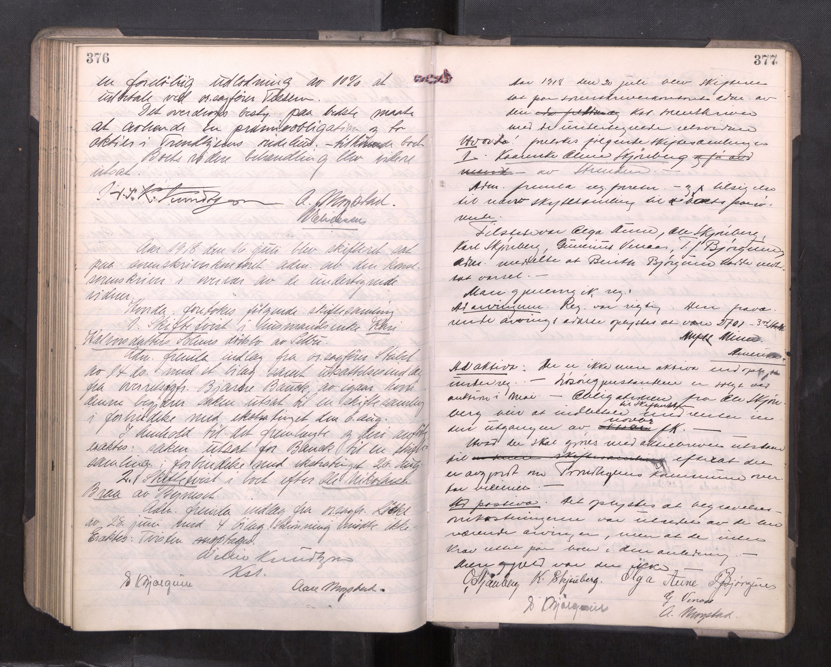 Strinda og Selbu sorenskriveri, AV/SAT-A-0015/3/3B/L0012: Skifteforhandlingsprot. 12, 1915-1919, s. 376-377