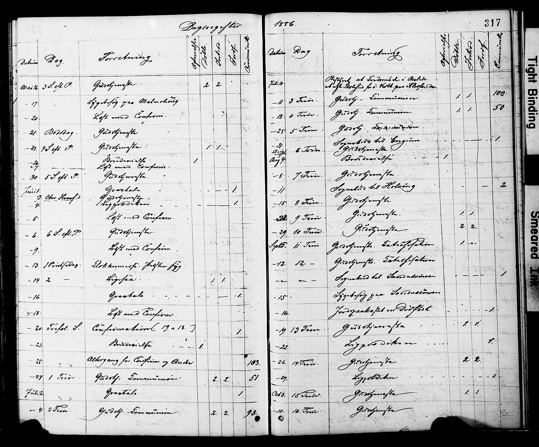 Ministerialprotokoller, klokkerbøker og fødselsregistre - Nord-Trøndelag, SAT/A-1458/749/L0473: Ministerialbok nr. 749A07, 1873-1887, s. 317