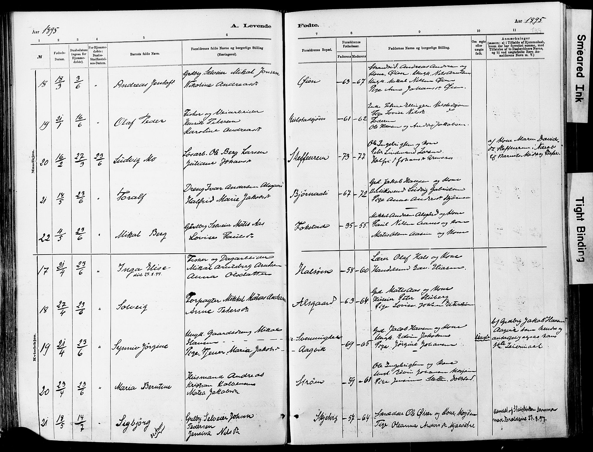 Ministerialprotokoller, klokkerbøker og fødselsregistre - Nordland, AV/SAT-A-1459/820/L0295: Ministerialbok nr. 820A16, 1880-1896, s. 139