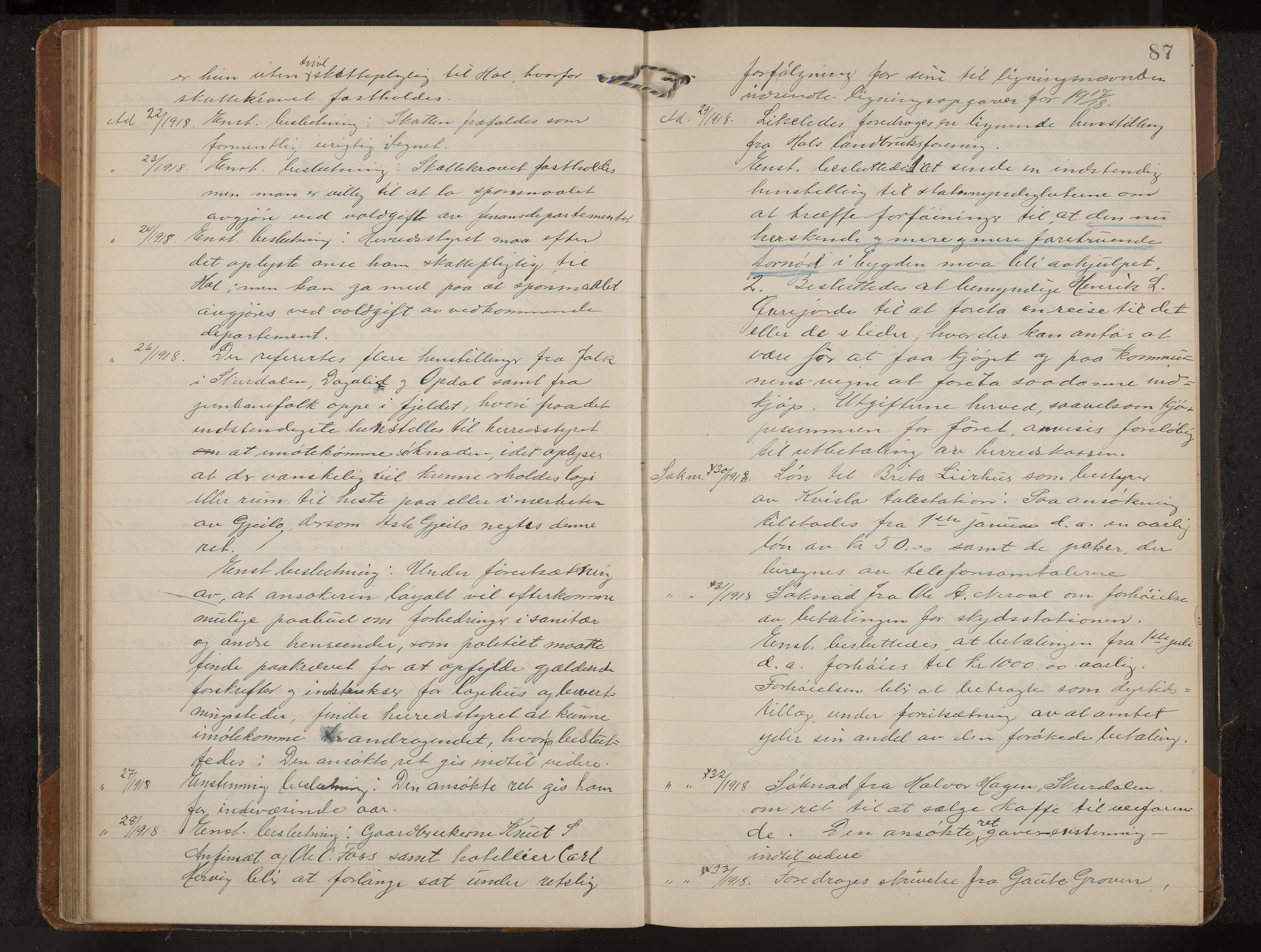 Hol formannskap og sentraladministrasjon, IKAK/0620021-1/A/L0006: Møtebok, 1916-1922, s. 87