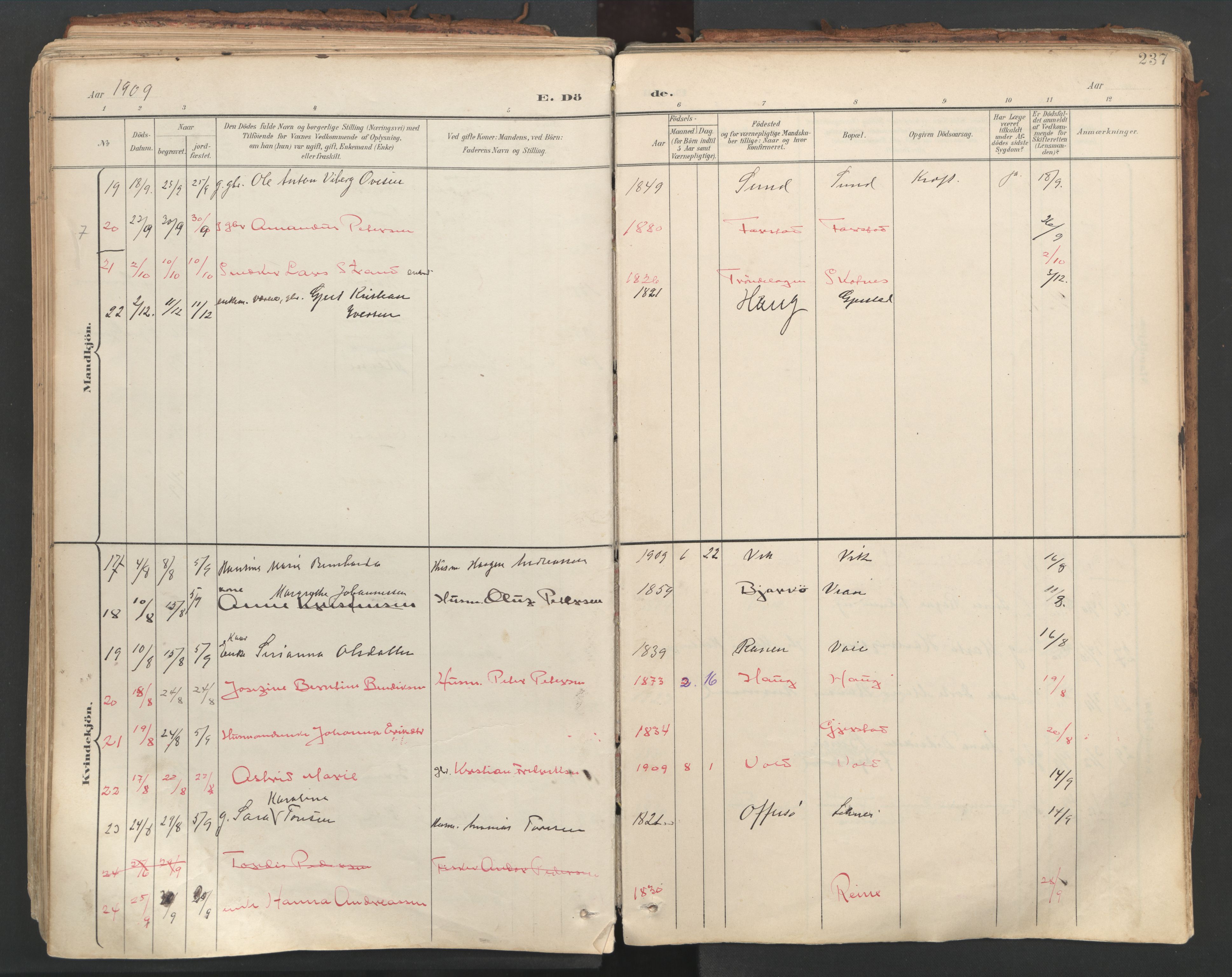 Ministerialprotokoller, klokkerbøker og fødselsregistre - Nordland, AV/SAT-A-1459/881/L1154: Ministerialbok nr. 881A07, 1907-1918, s. 237