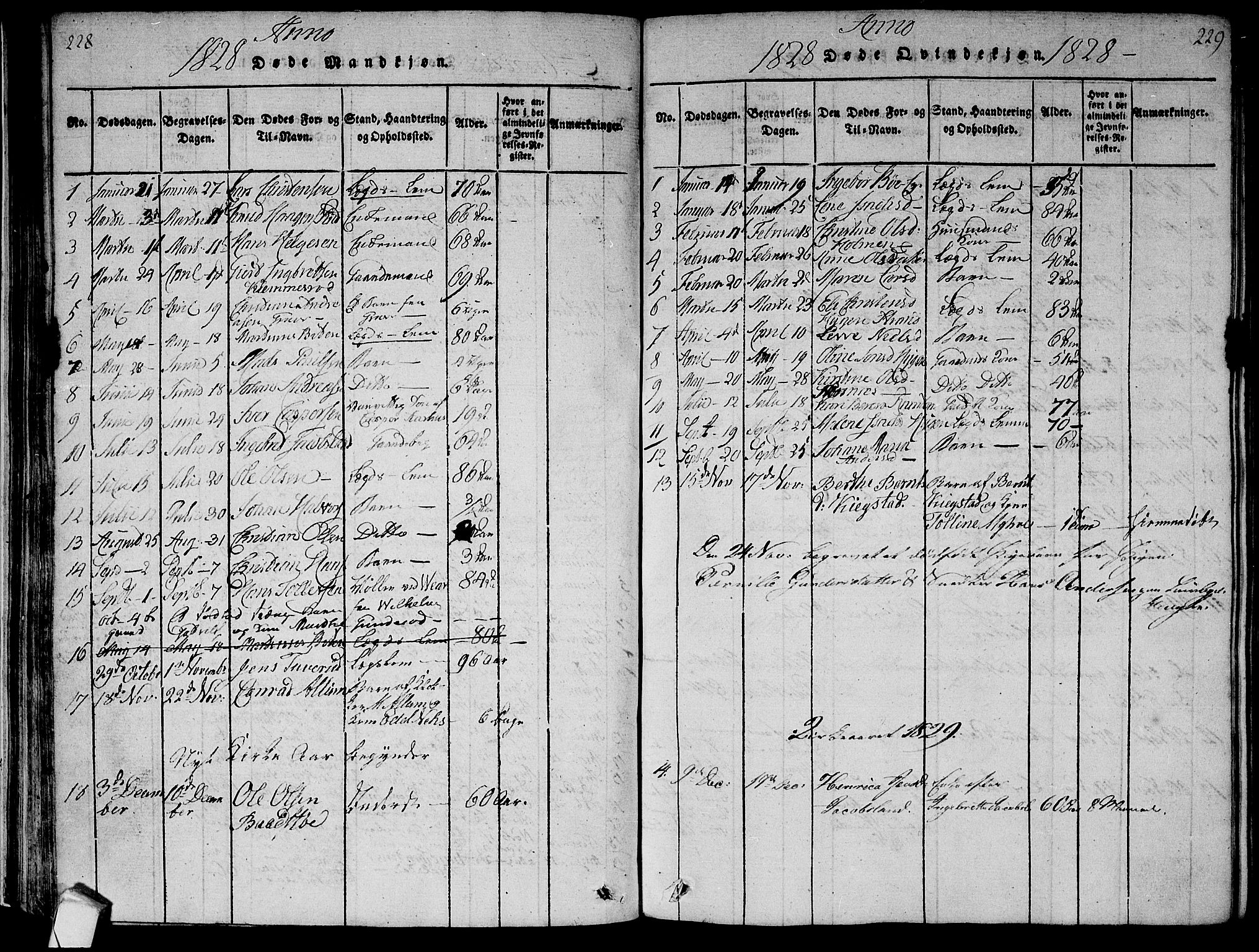 Røyken kirkebøker, AV/SAKO-A-241/F/Fa/L0004: Ministerialbok nr. 4, 1814-1832, s. 228-229