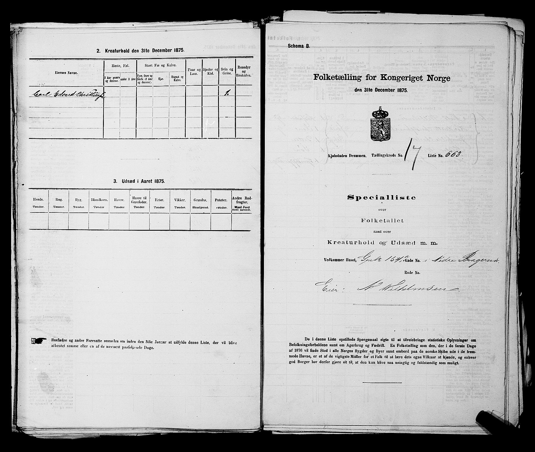 SAKO, Folketelling 1875 for 0602 Drammen kjøpstad, 1875, s. 1872