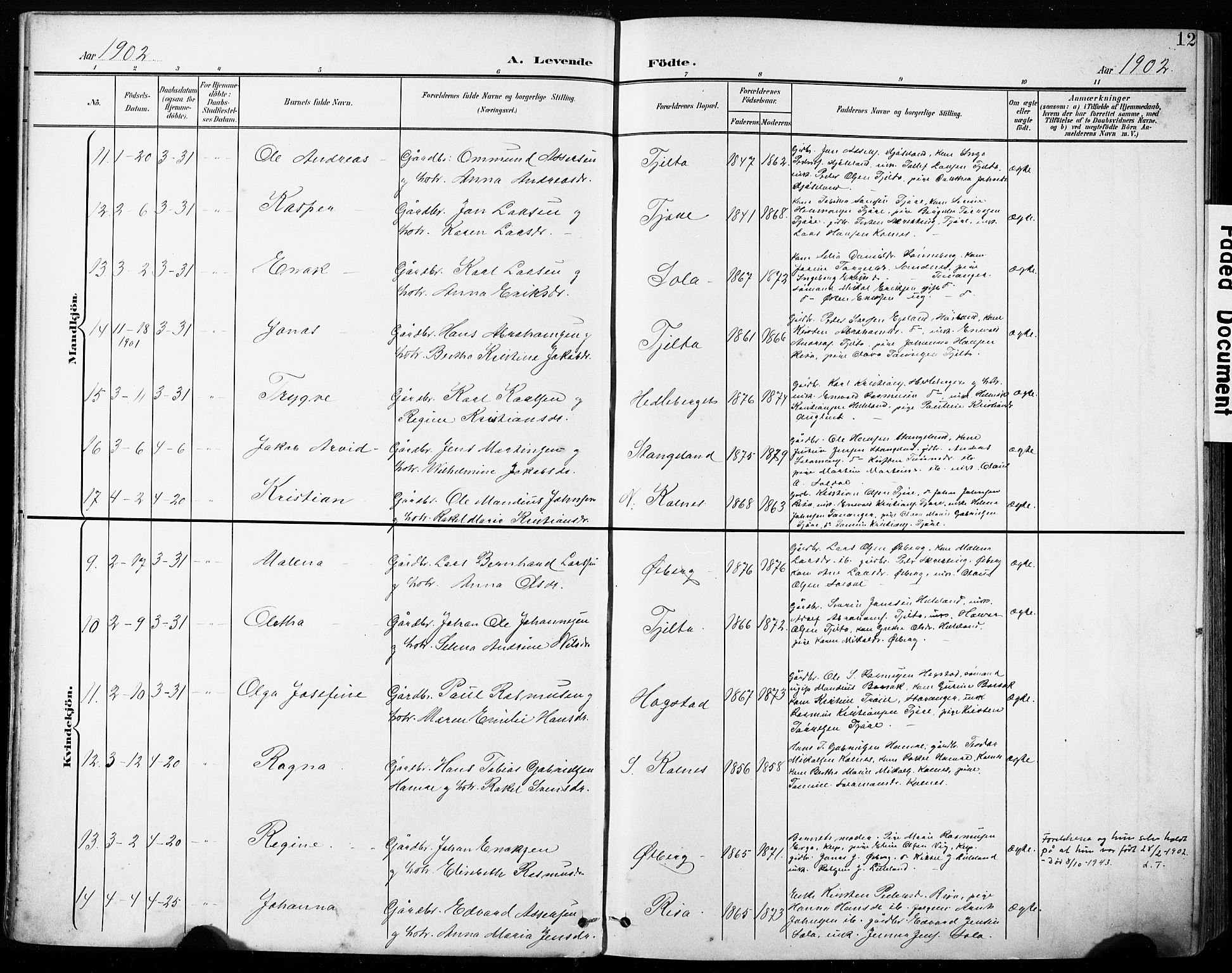 Håland sokneprestkontor, AV/SAST-A-101802/001/30BA/L0013: Ministerialbok nr. A 12, 1901-1913, s. 12