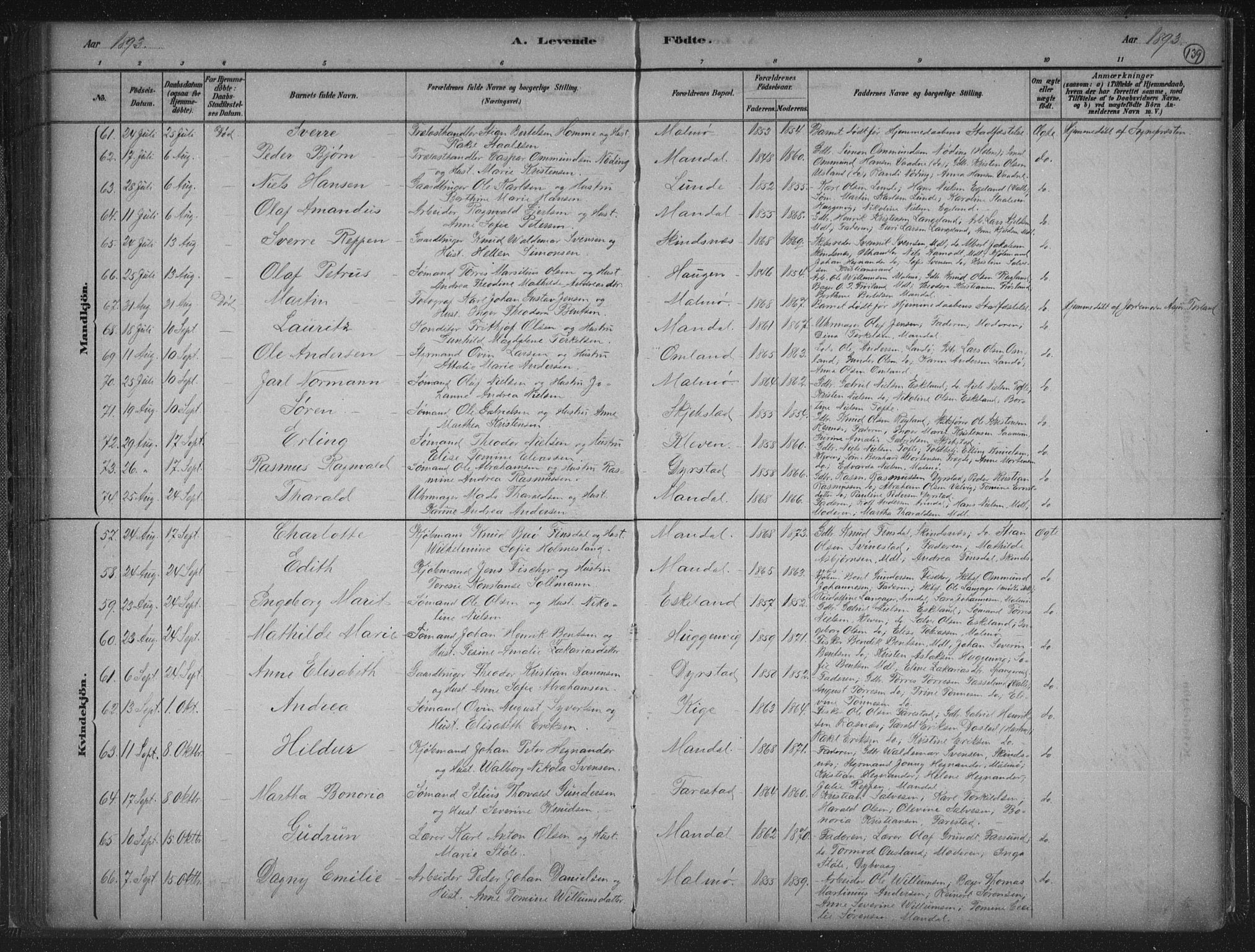 Mandal sokneprestkontor, AV/SAK-1111-0030/F/Fb/Fba/L0011: Klokkerbok nr. B 5, 1880-1898, s. 139