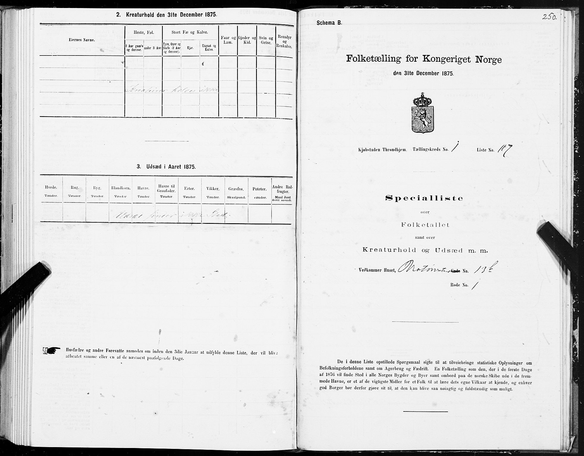 SAT, Folketelling 1875 for 1601 Trondheim kjøpstad, 1875, s. 1250