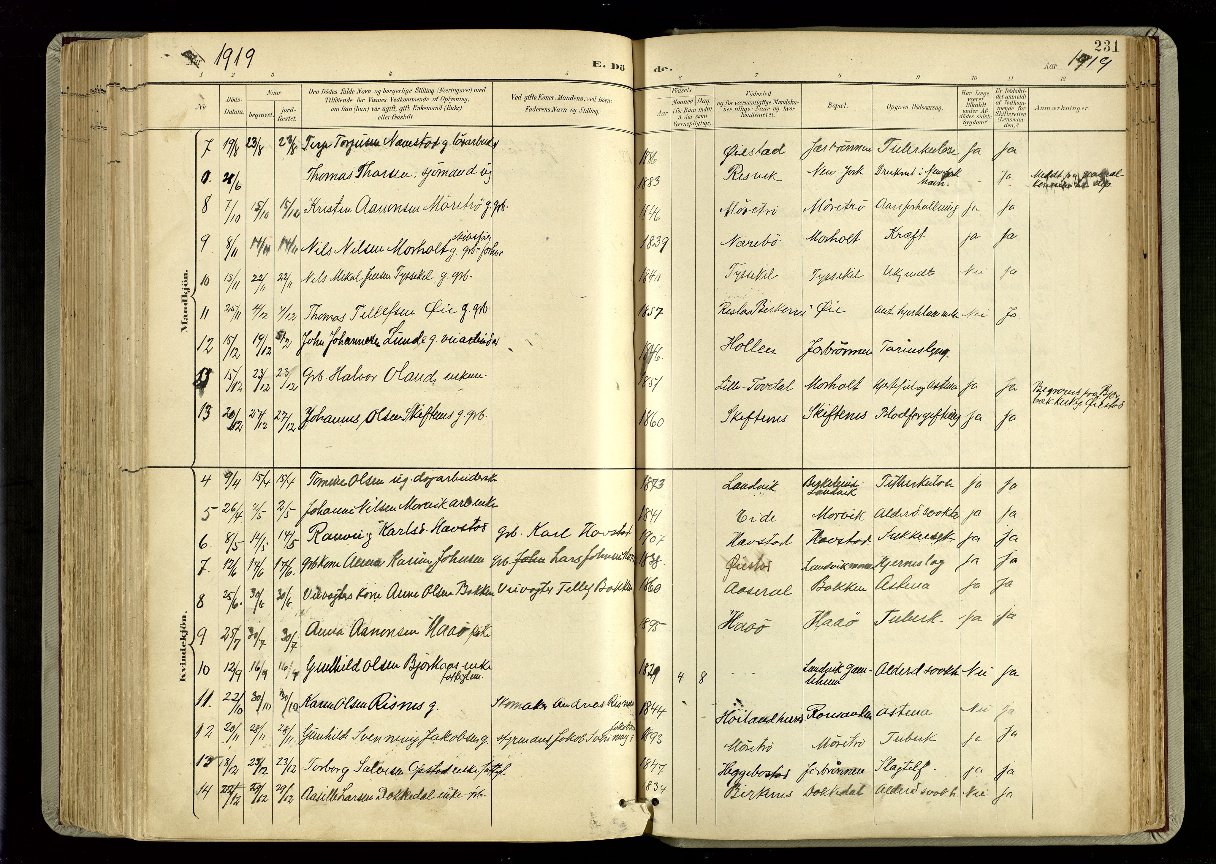 Hommedal sokneprestkontor, AV/SAK-1111-0023/F/Fa/Fab/L0007: Ministerialbok nr. A 7, 1898-1924, s. 231