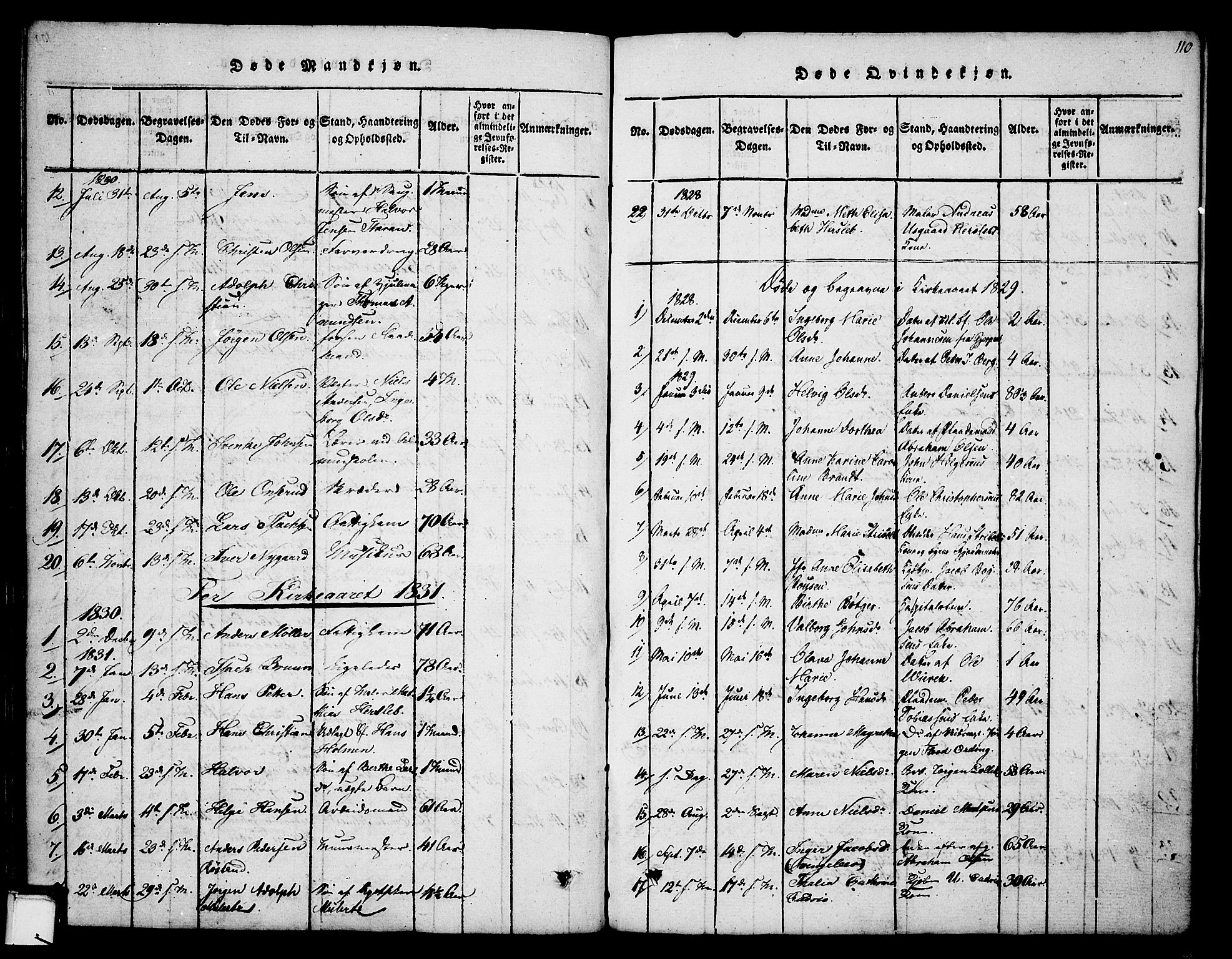 Skien kirkebøker, AV/SAKO-A-302/F/Fa/L0005: Ministerialbok nr. 5, 1814-1843, s. 110