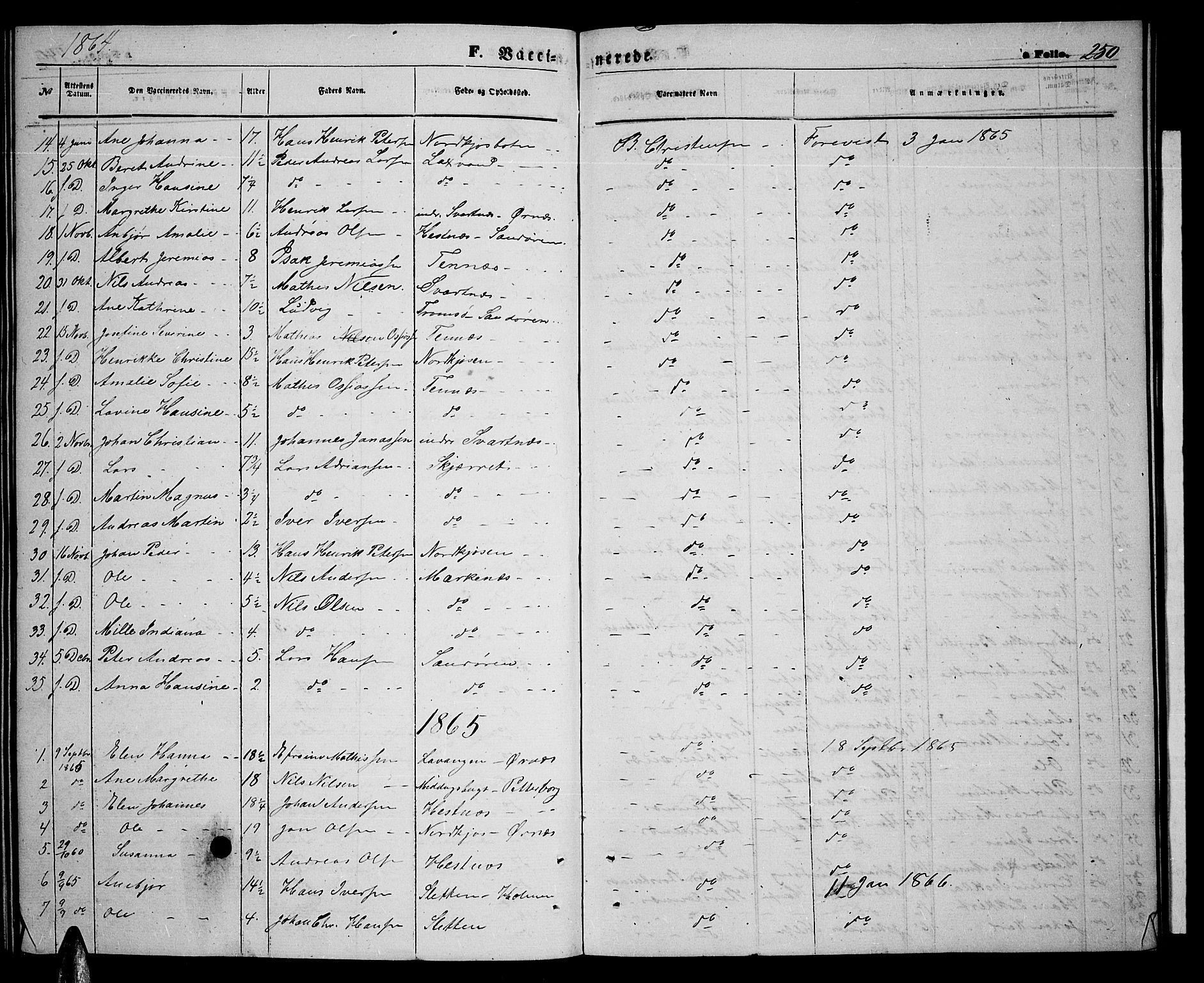 Balsfjord sokneprestembete, AV/SATØ-S-1303/G/Ga/L0006klokker: Klokkerbok nr. 6, 1863-1878, s. 250