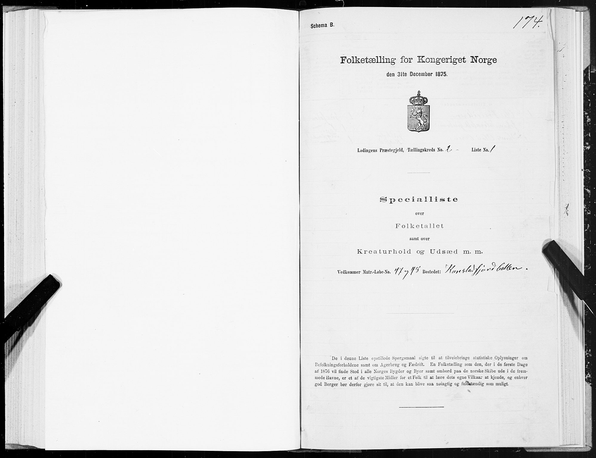 SAT, Folketelling 1875 for 1851P Lødingen prestegjeld, 1875, s. 1174