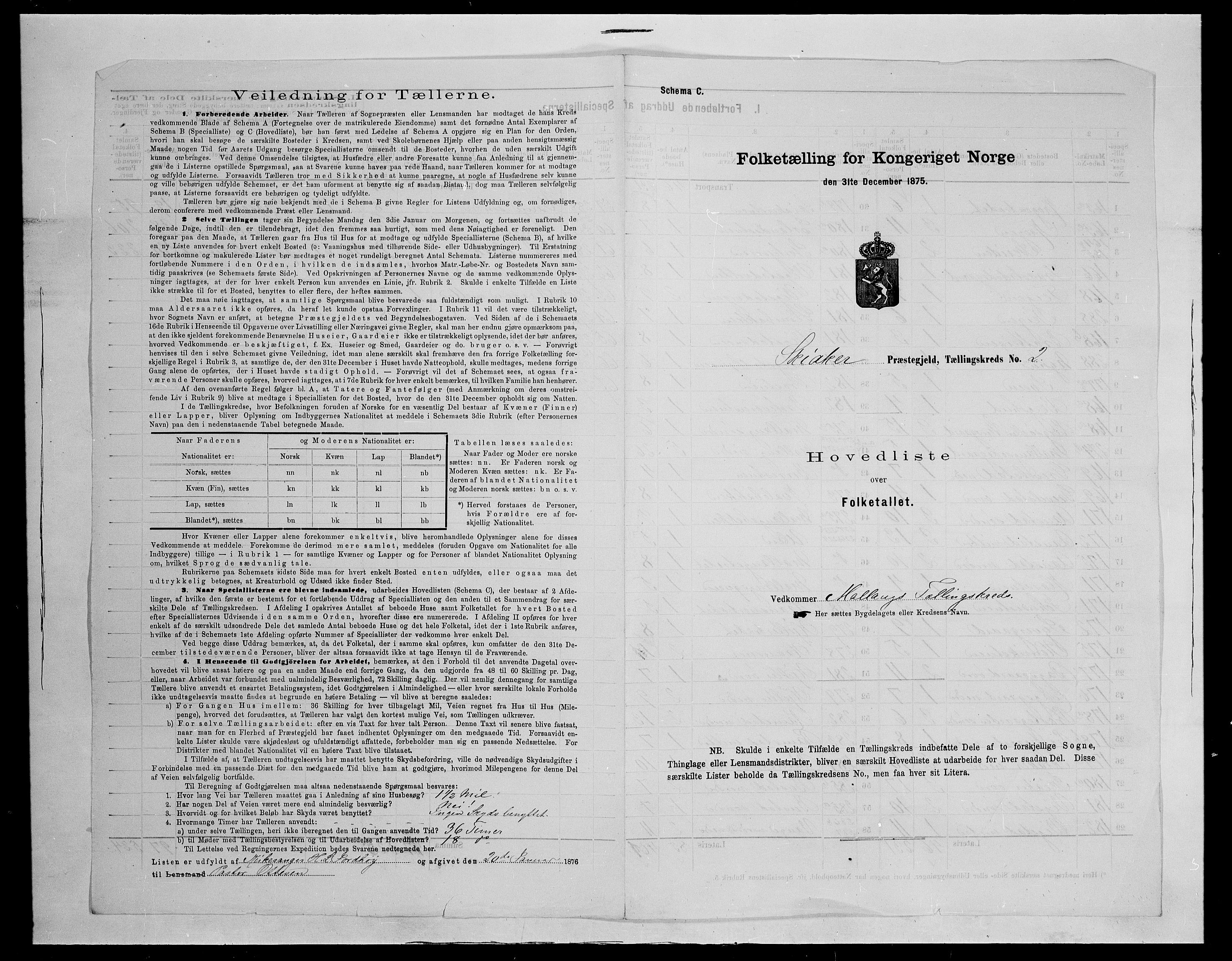 SAH, Folketelling 1875 for 0513P Skjåk prestegjeld, 1875, s. 13