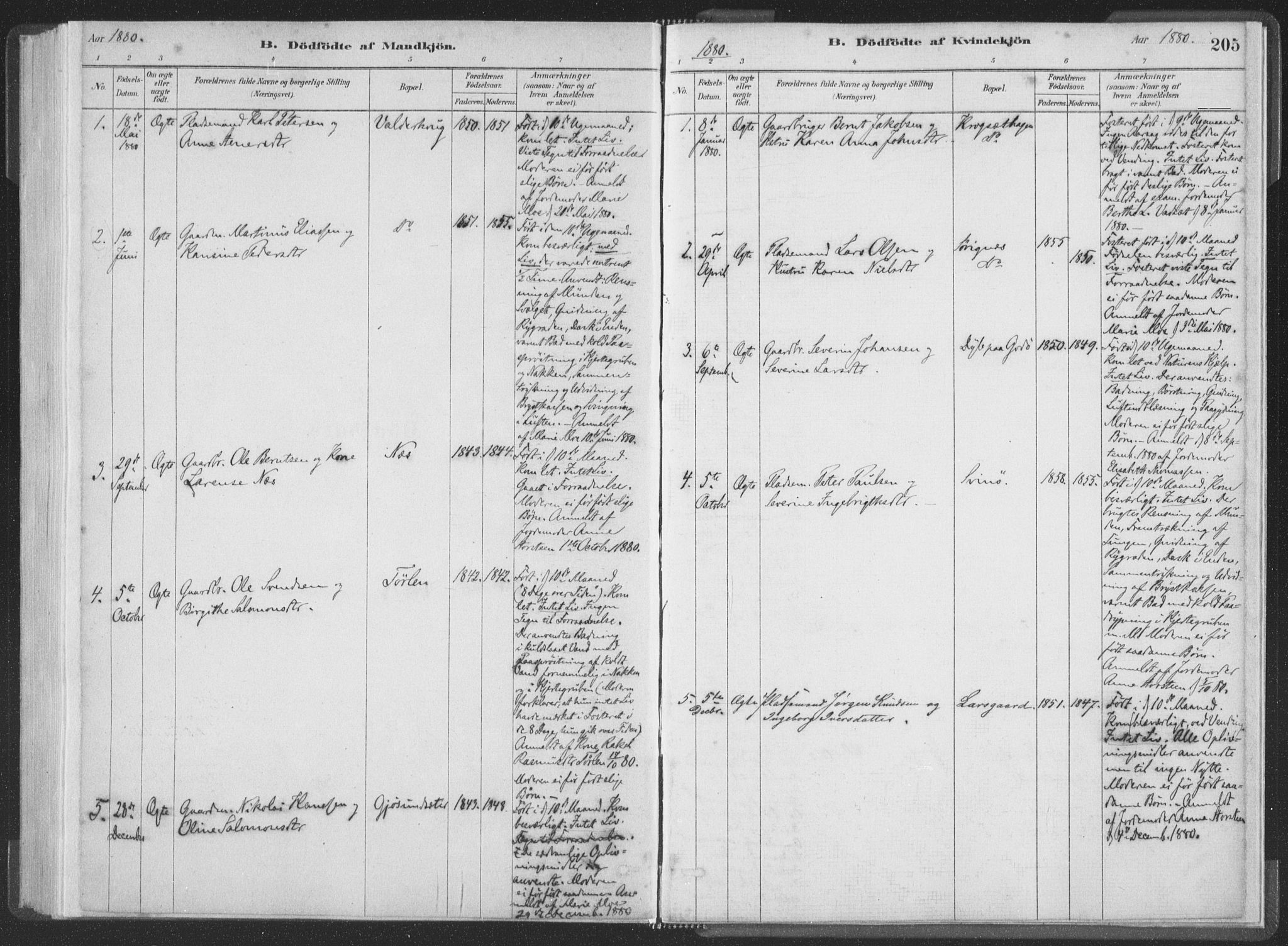 Ministerialprotokoller, klokkerbøker og fødselsregistre - Møre og Romsdal, SAT/A-1454/528/L0401: Ministerialbok nr. 528A12I, 1880-1920, s. 205