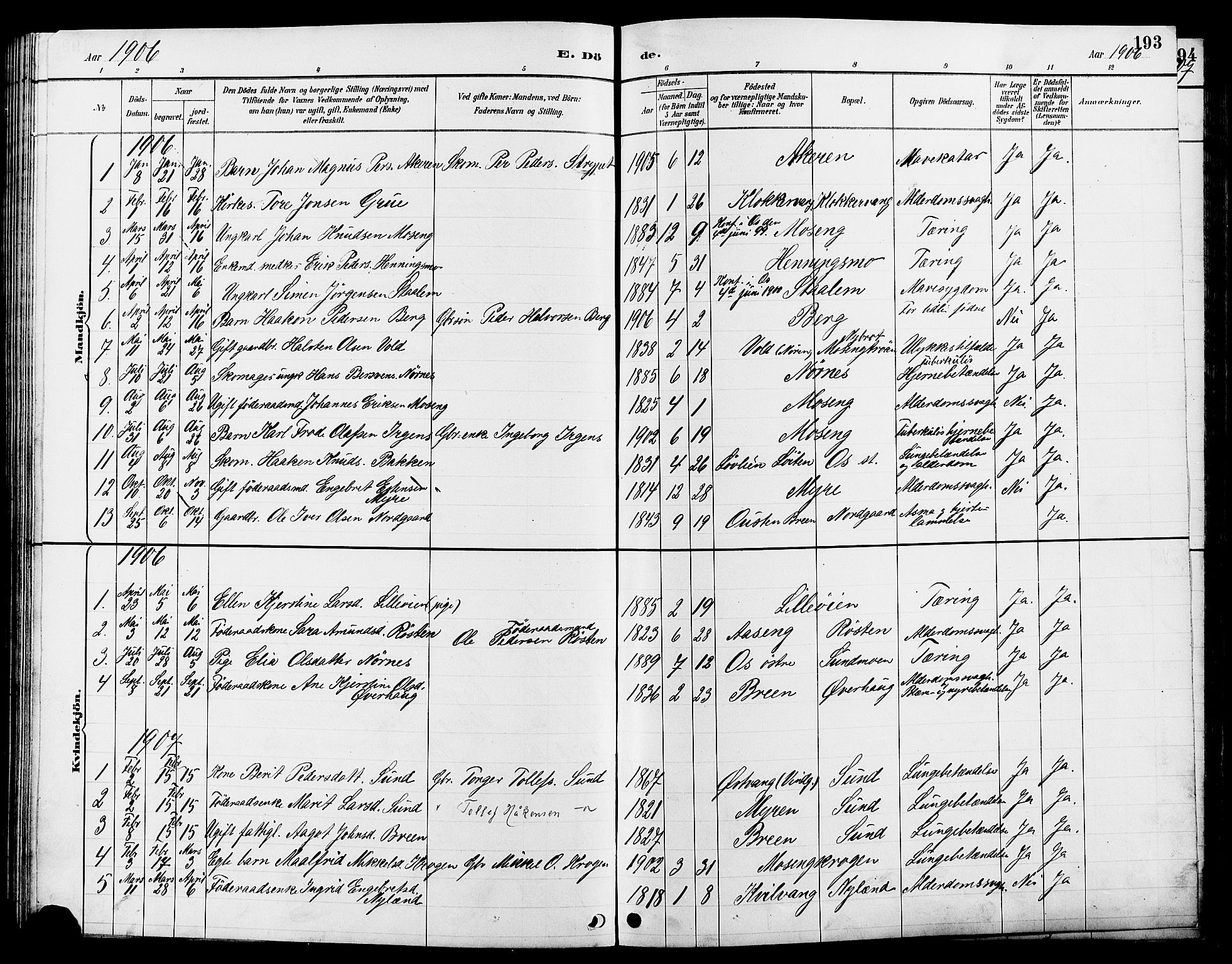Tolga prestekontor, AV/SAH-PREST-062/L/L0008: Klokkerbok nr. 8, 1887-1912, s. 193