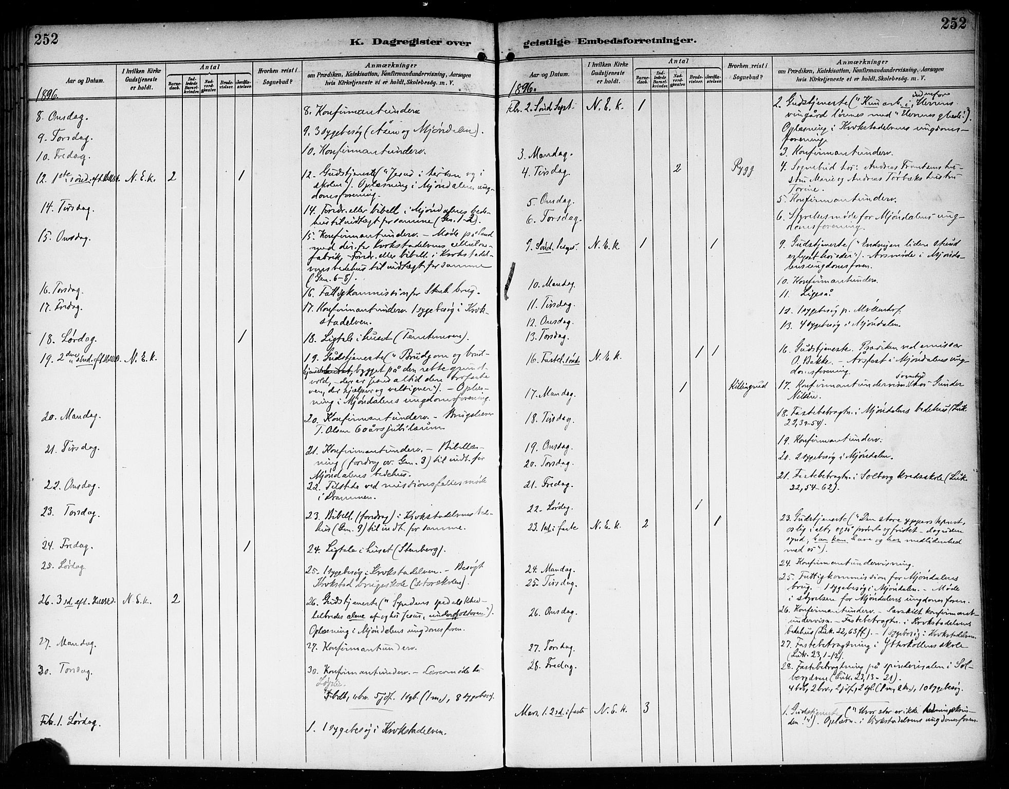 Nedre Eiker kirkebøker, AV/SAKO-A-612/F/Fa/L0004: Ministerialbok nr. 4, 1893-1898, s. 252