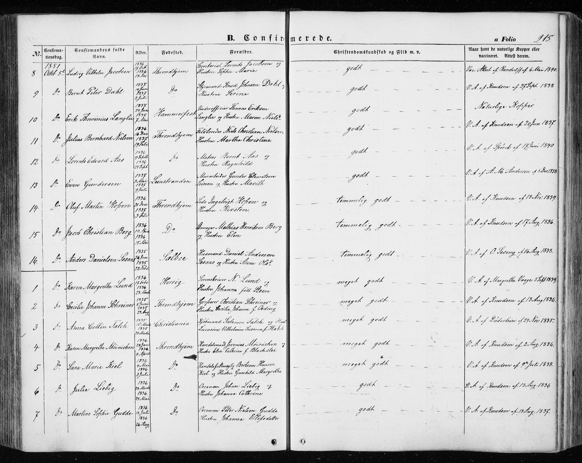 Ministerialprotokoller, klokkerbøker og fødselsregistre - Sør-Trøndelag, AV/SAT-A-1456/601/L0051: Ministerialbok nr. 601A19, 1848-1857, s. 215