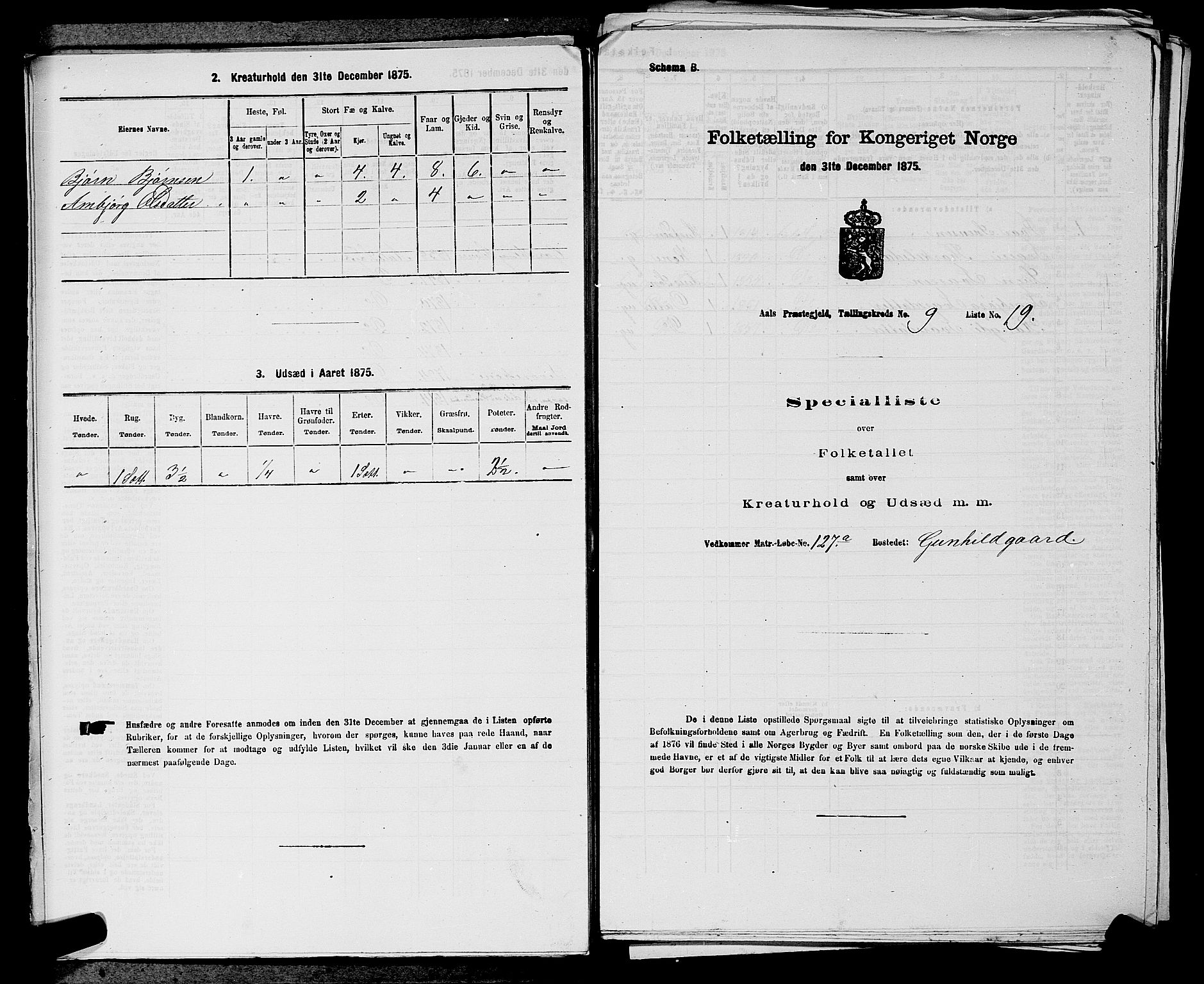 SAKO, Folketelling 1875 for 0619P Ål prestegjeld, 1875, s. 1131