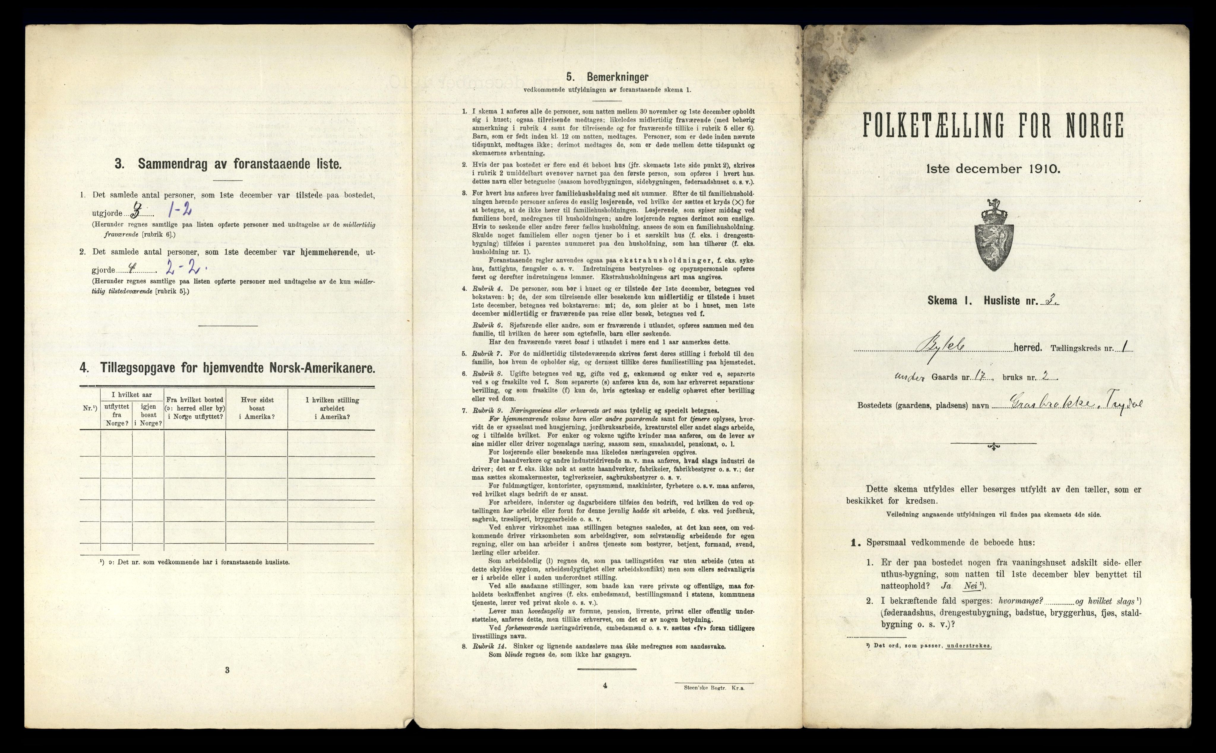 RA, Folketelling 1910 for 0941 Bykle herred, 1910, s. 21