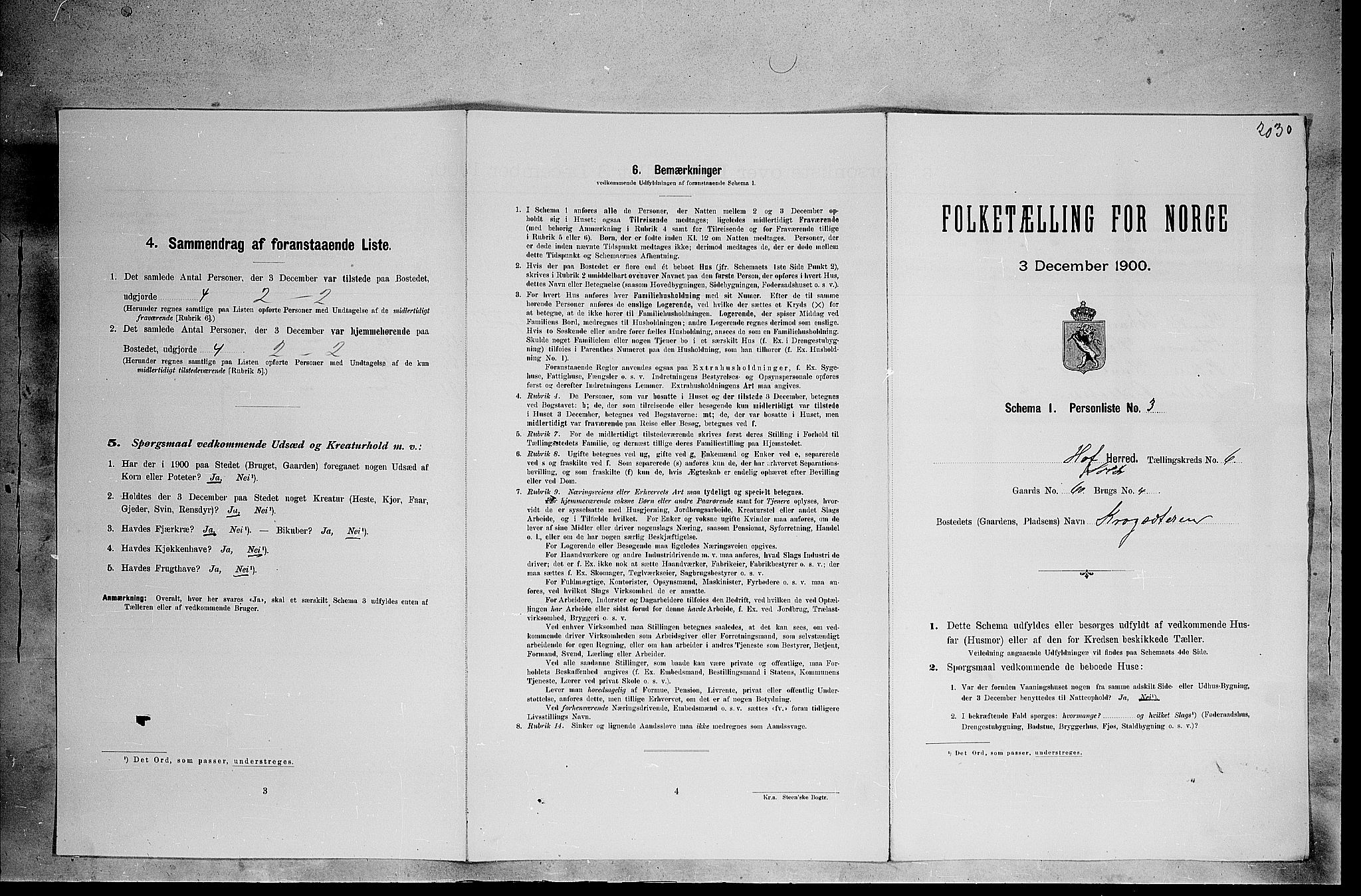 SAH, Folketelling 1900 for 0424 Hof herred, 1900, s. 1007