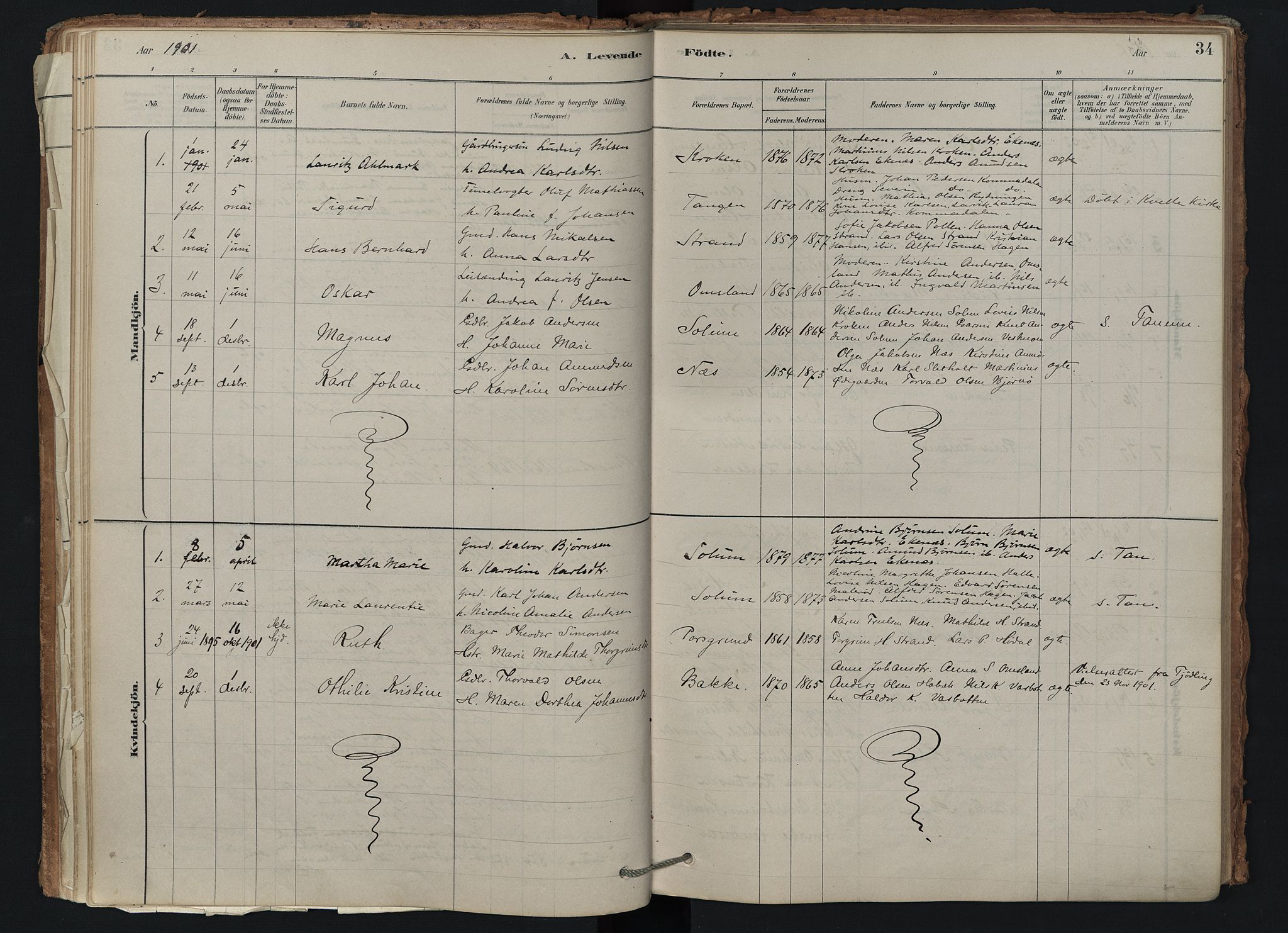 Brunlanes kirkebøker, SAKO/A-342/F/Fd/L0001: Ministerialbok nr. IV 1, 1878-1917, s. 34