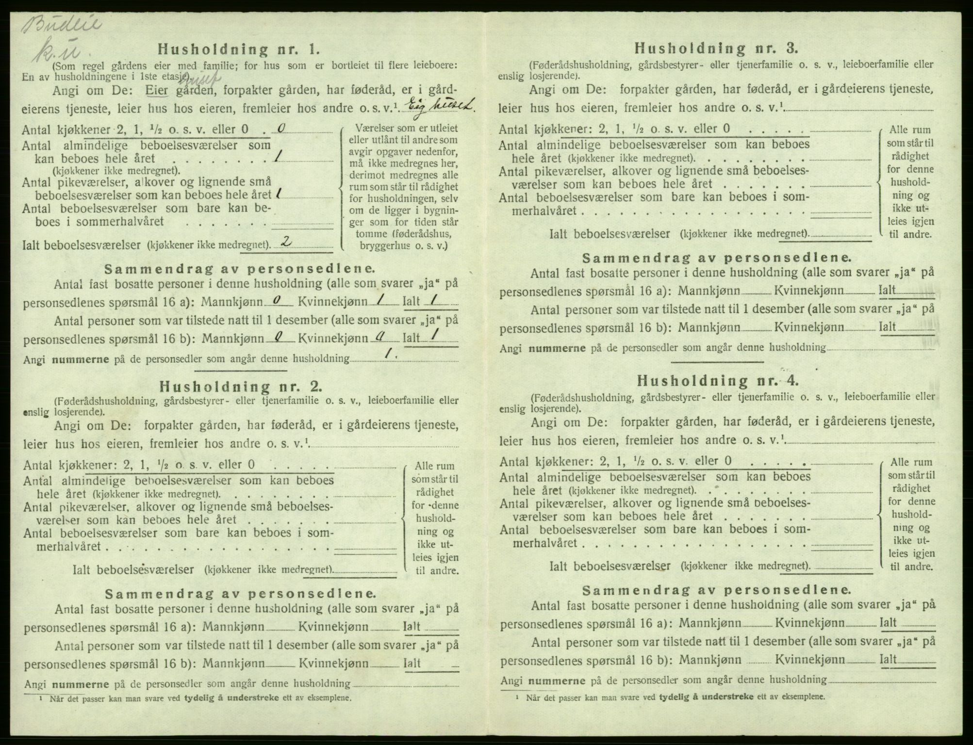 SAB, Folketelling 1920 for 1234 Granvin herred, 1920, s. 219