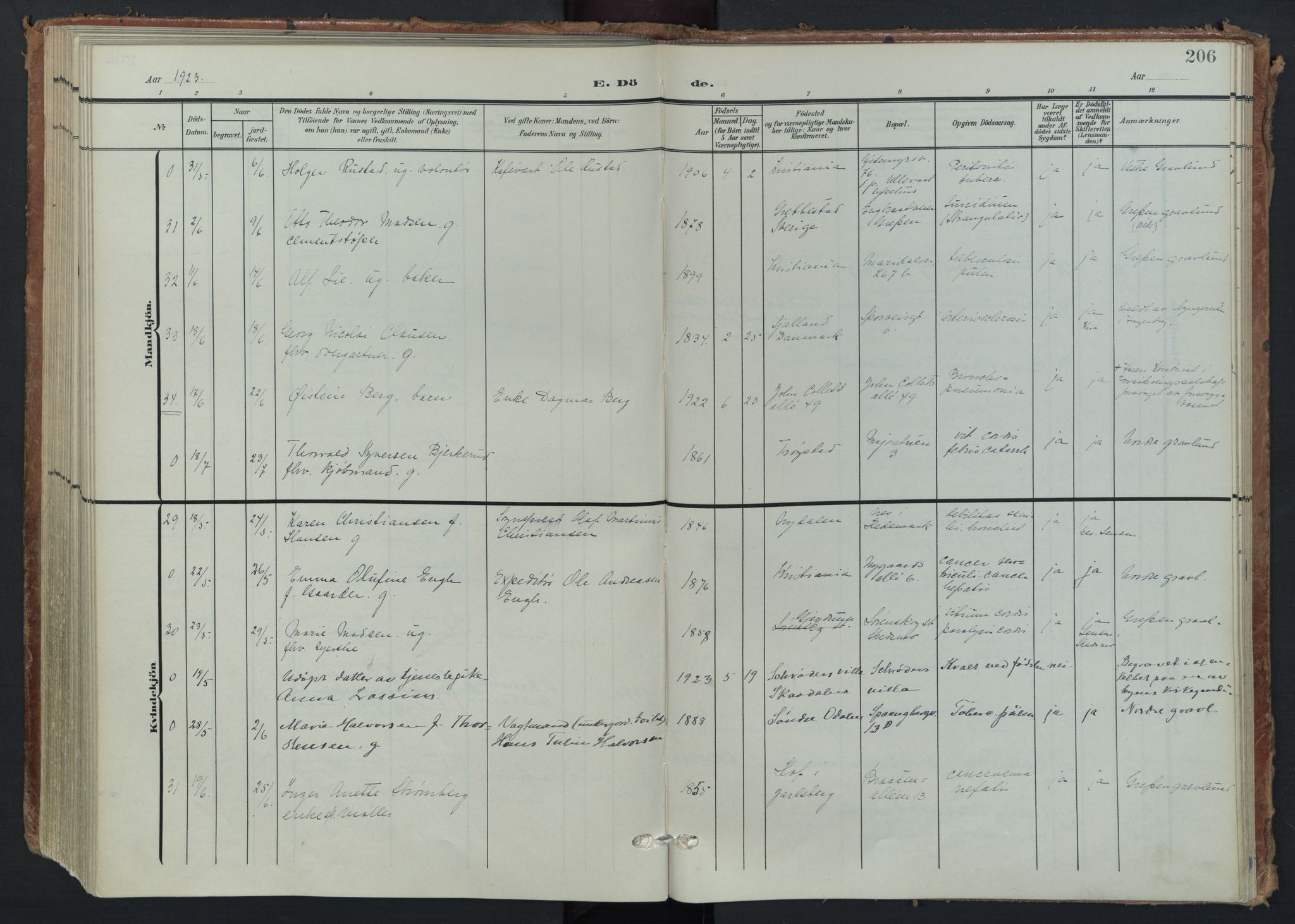 Vestre Aker prestekontor Kirkebøker, AV/SAO-A-10025/F/Fa/L0016: Ministerialbok nr. 16, 1904-1926, s. 206