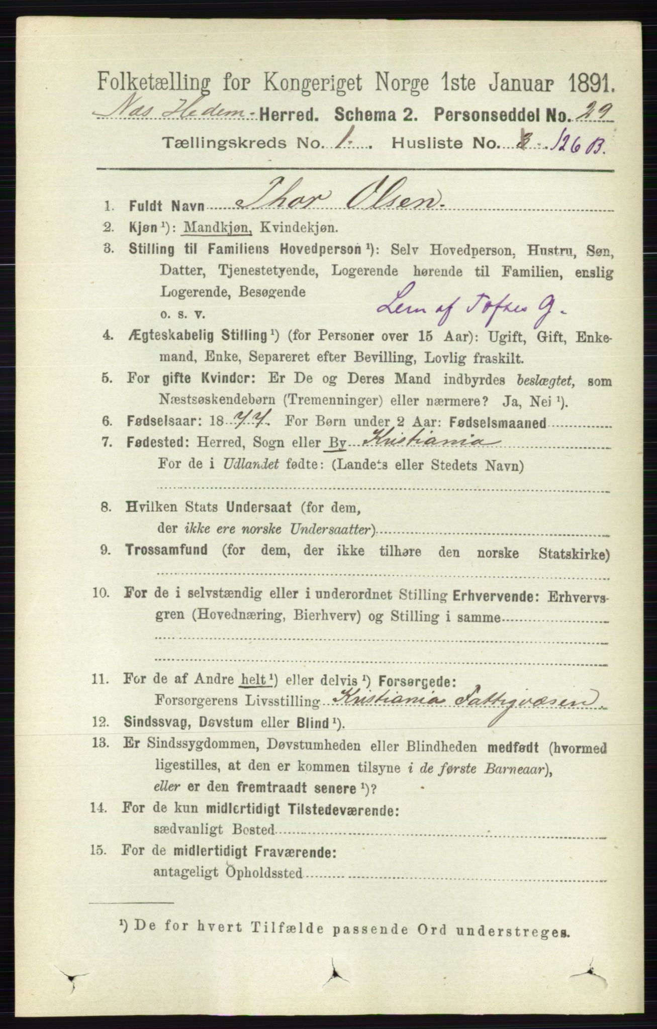 RA, Folketelling 1891 for 0411 Nes herred, 1891, s. 936