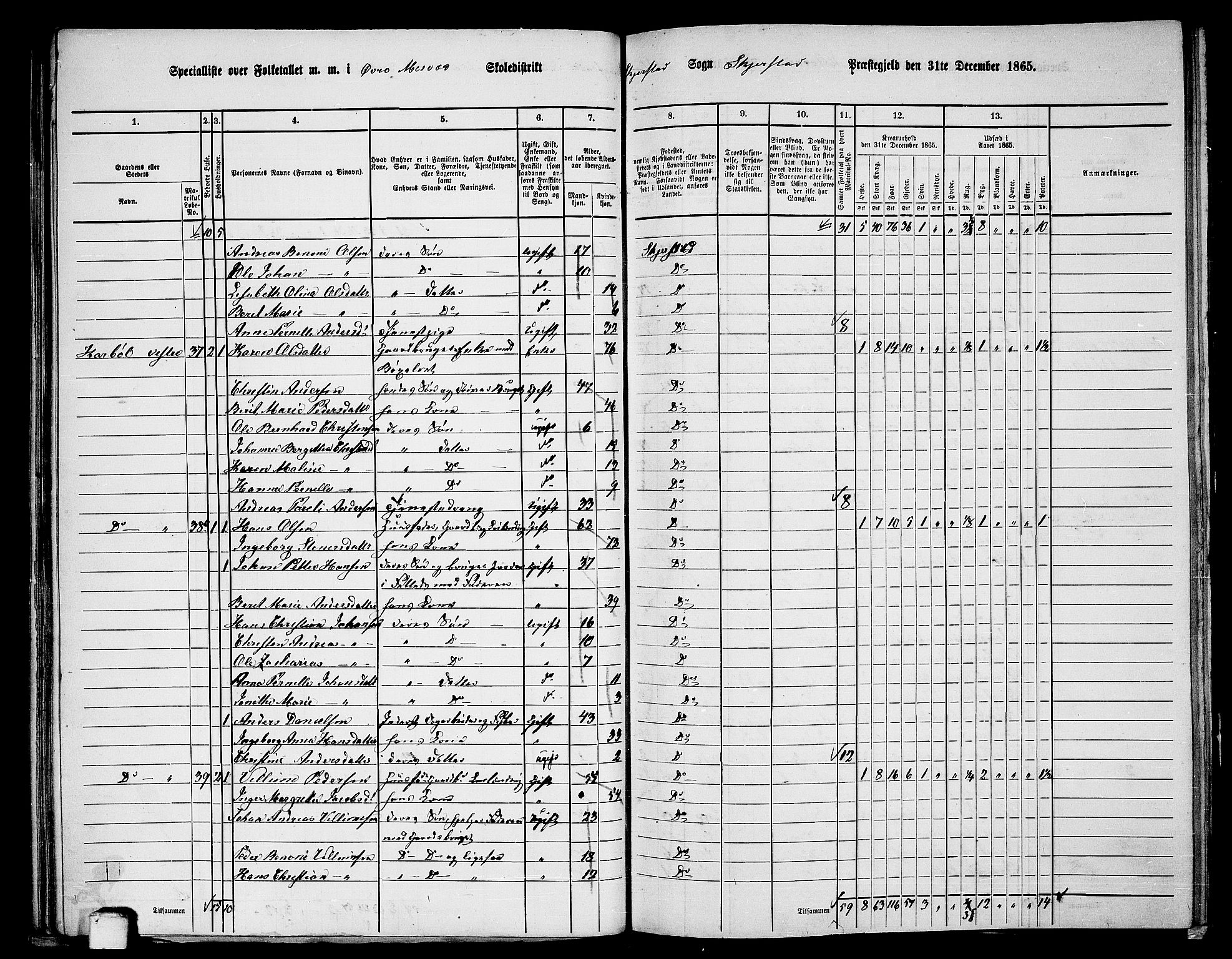 RA, Folketelling 1865 for 1842P Skjerstad prestegjeld, 1865, s. 56