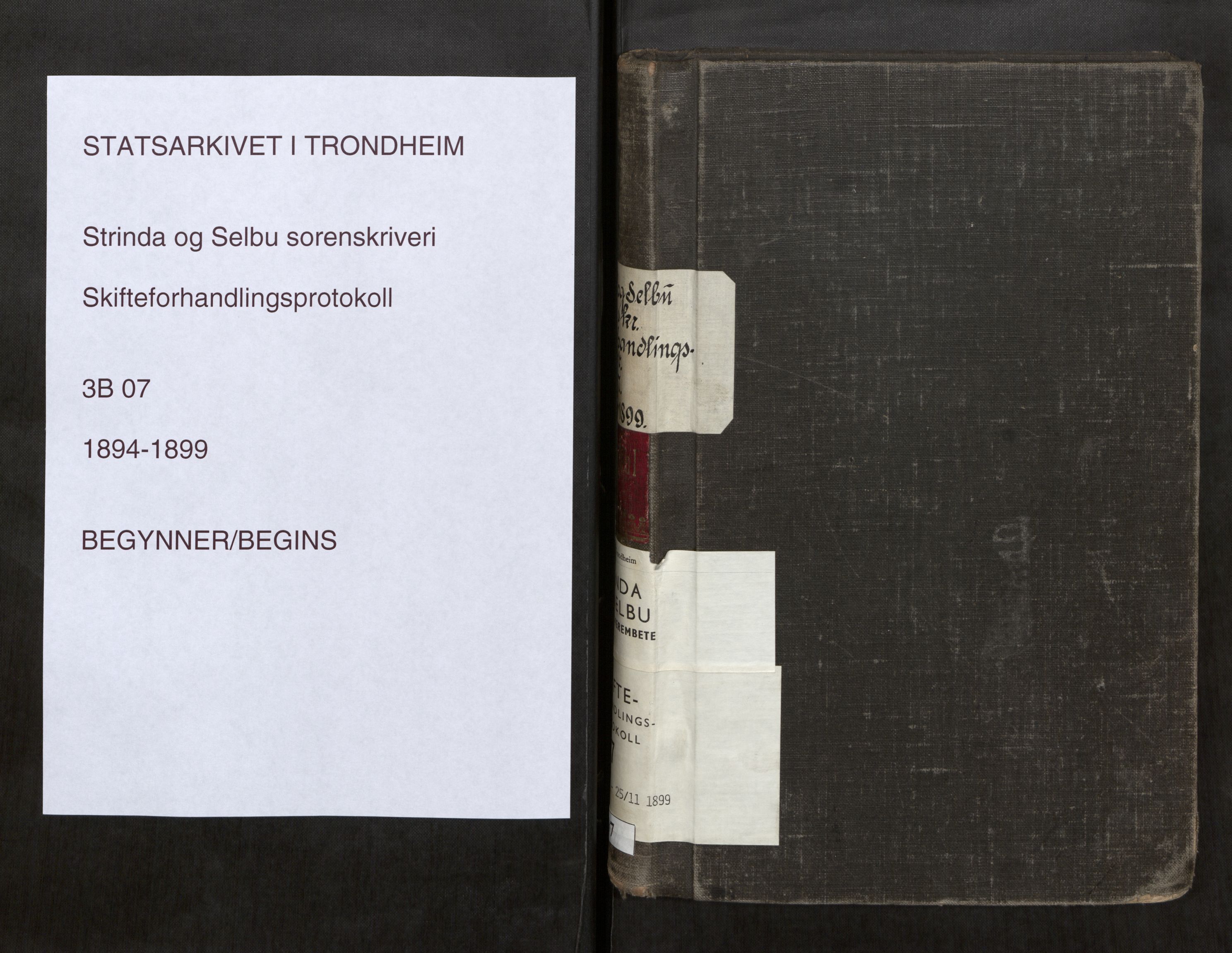 Strinda og Selbu sorenskriveri, AV/SAT-A-0015/3/3B/L0007: Skifteforhandlingsprot. 7 7, 1894-1899