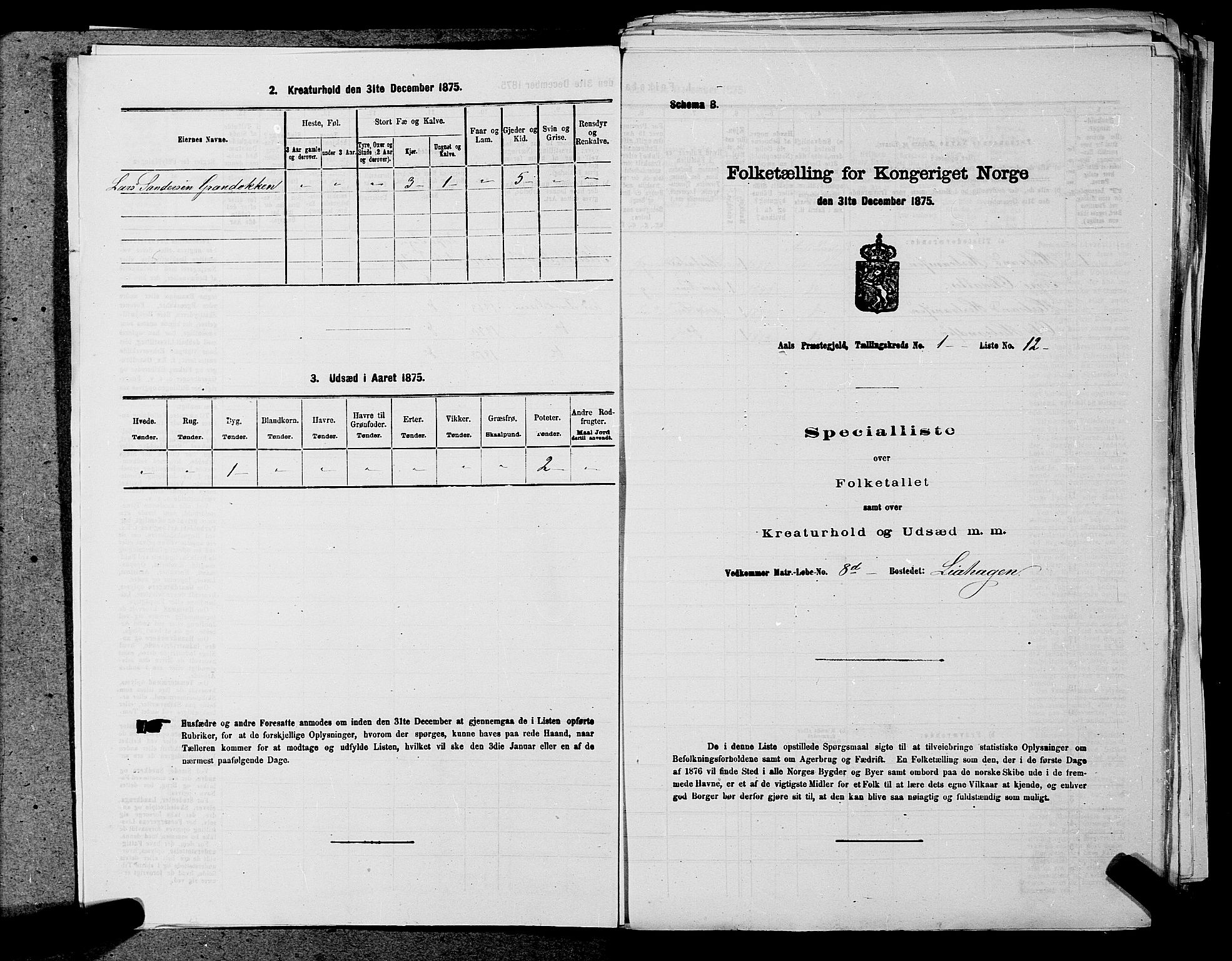 SAKO, Folketelling 1875 for 0619P Ål prestegjeld, 1875, s. 38