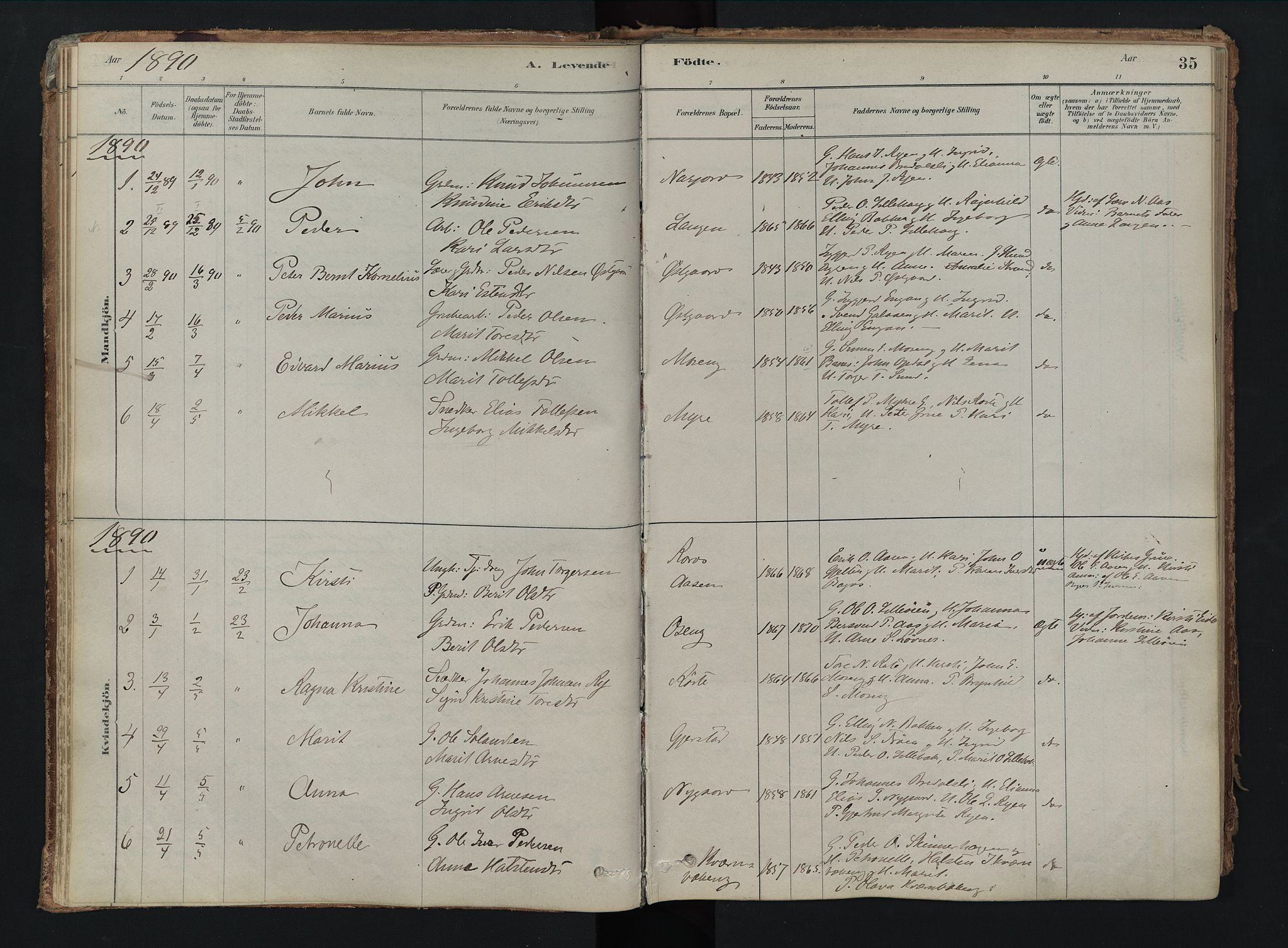 Tolga prestekontor, AV/SAH-PREST-062/K/L0008: Ministerialbok nr. 8, 1877-1910, s. 35