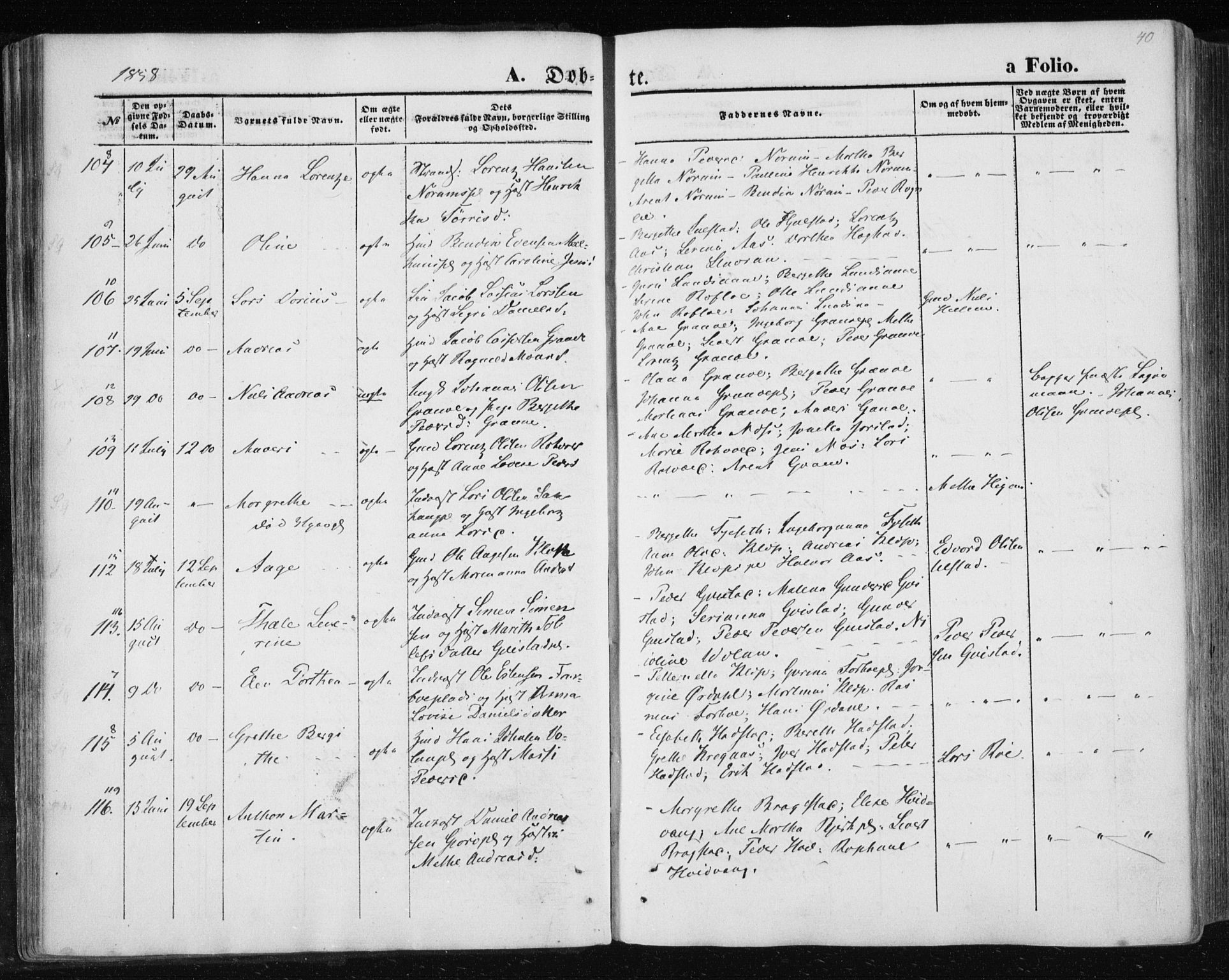 Ministerialprotokoller, klokkerbøker og fødselsregistre - Nord-Trøndelag, AV/SAT-A-1458/730/L0283: Ministerialbok nr. 730A08, 1855-1865, s. 40