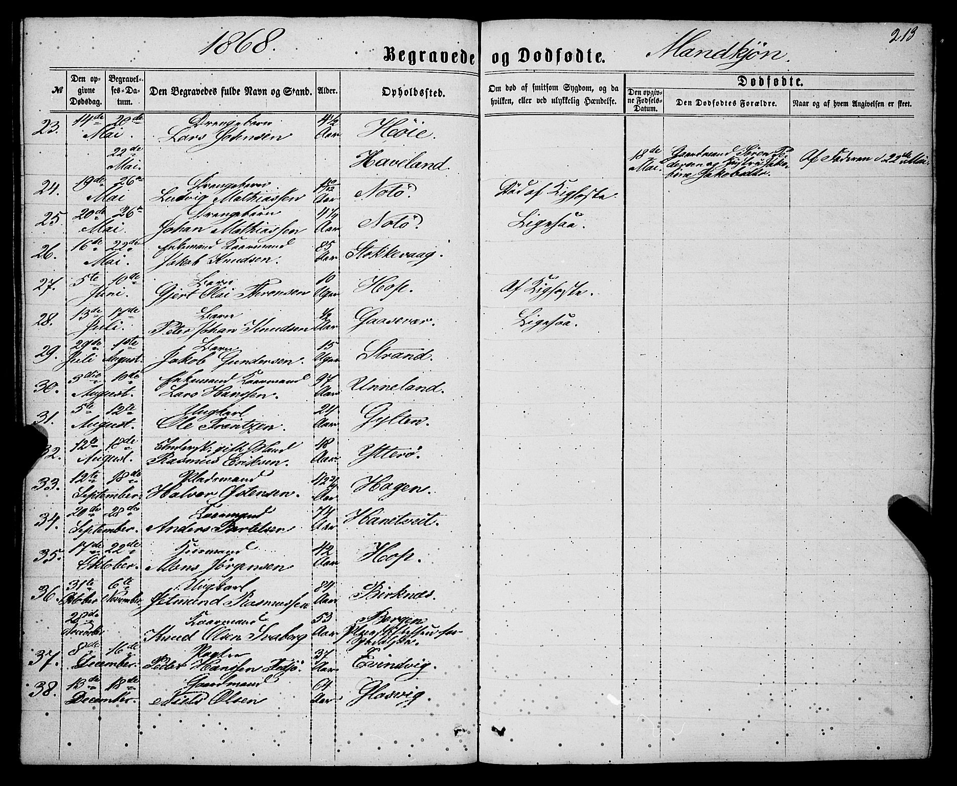 Gulen sokneprestembete, AV/SAB-A-80201/H/Haa/Haaa/L0022: Ministerialbok nr. A 22, 1859-1869, s. 213