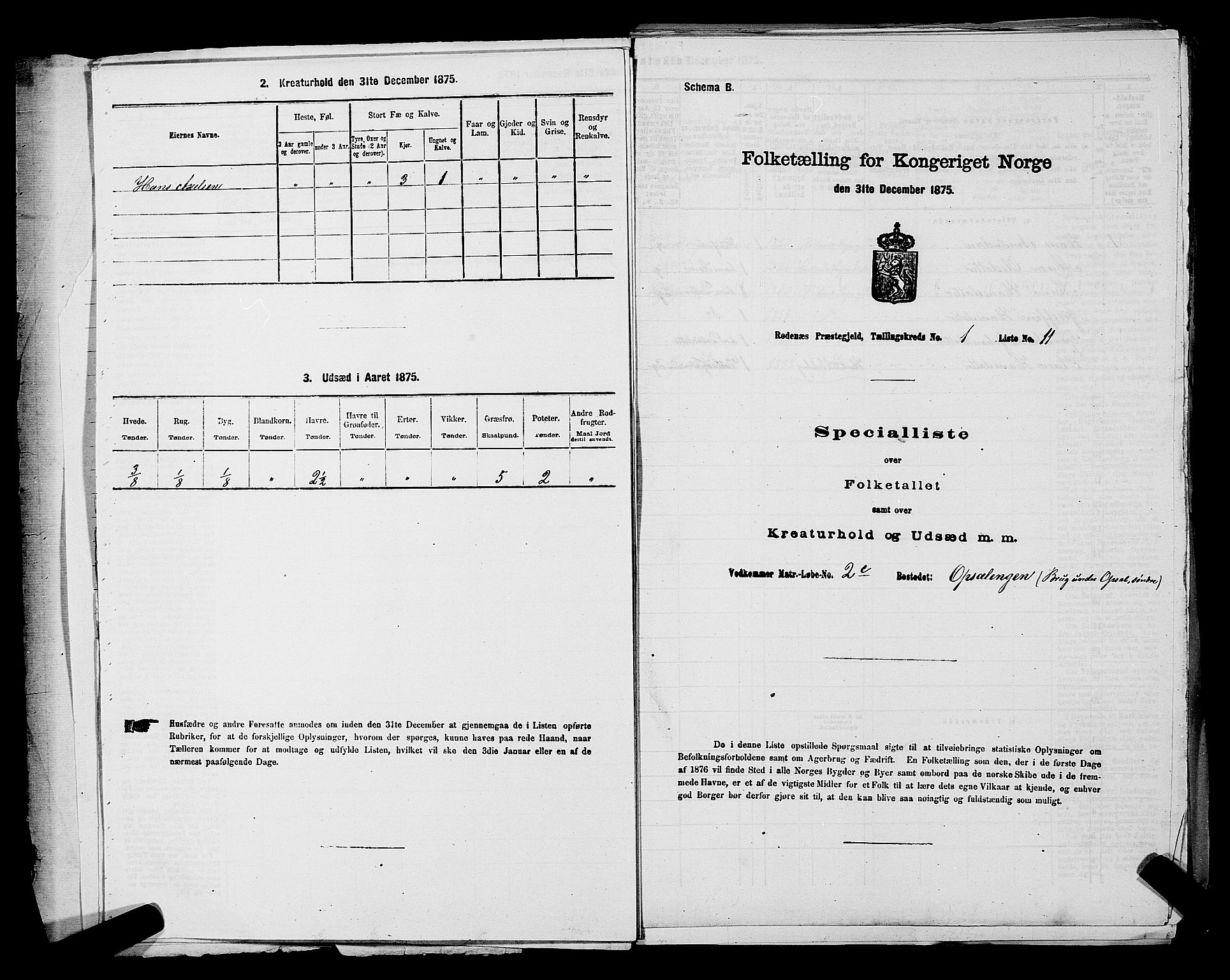 RA, Folketelling 1875 for 0120P Rødenes prestegjeld, 1875, s. 35