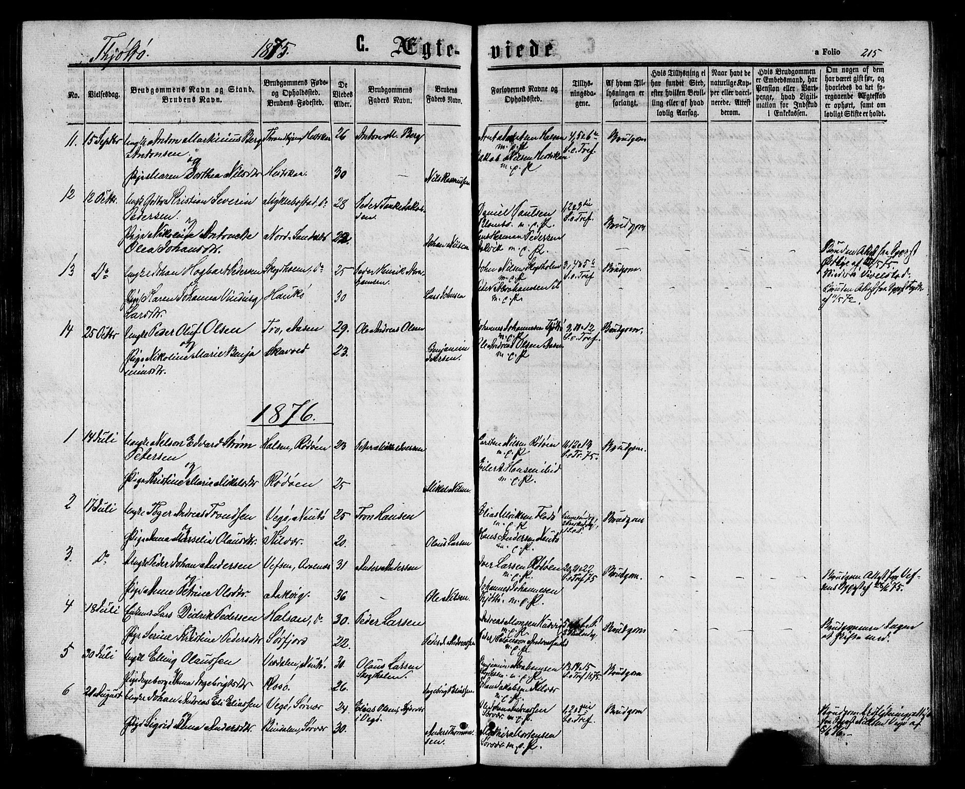 Ministerialprotokoller, klokkerbøker og fødselsregistre - Nordland, SAT/A-1459/817/L0262: Ministerialbok nr. 817A03/ 1, 1862-1877, s. 215