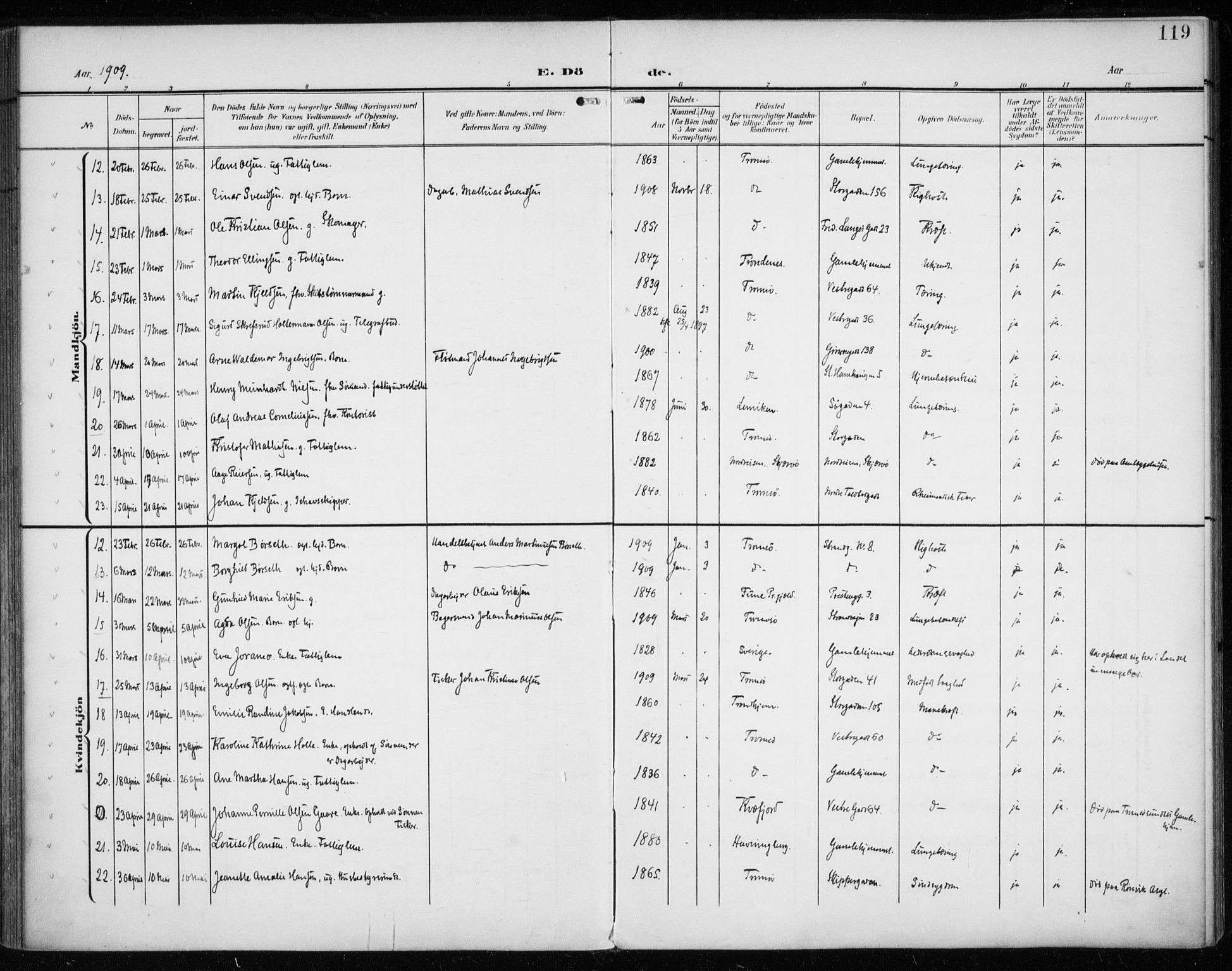 Tromsø sokneprestkontor/stiftsprosti/domprosti, AV/SATØ-S-1343/G/Ga/L0018kirke: Ministerialbok nr. 18, 1907-1917, s. 119