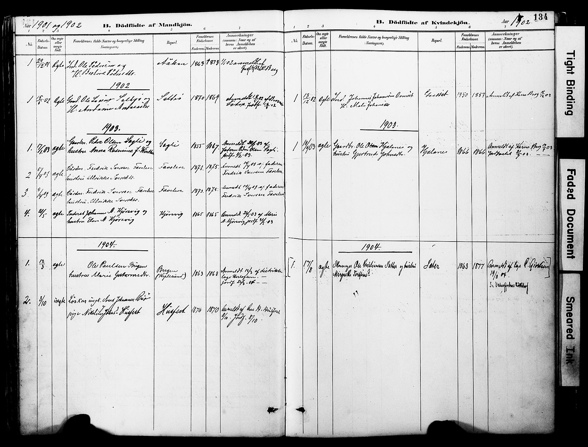 Ministerialprotokoller, klokkerbøker og fødselsregistre - Møre og Romsdal, SAT/A-1454/578/L0907: Ministerialbok nr. 578A06, 1887-1904, s. 134