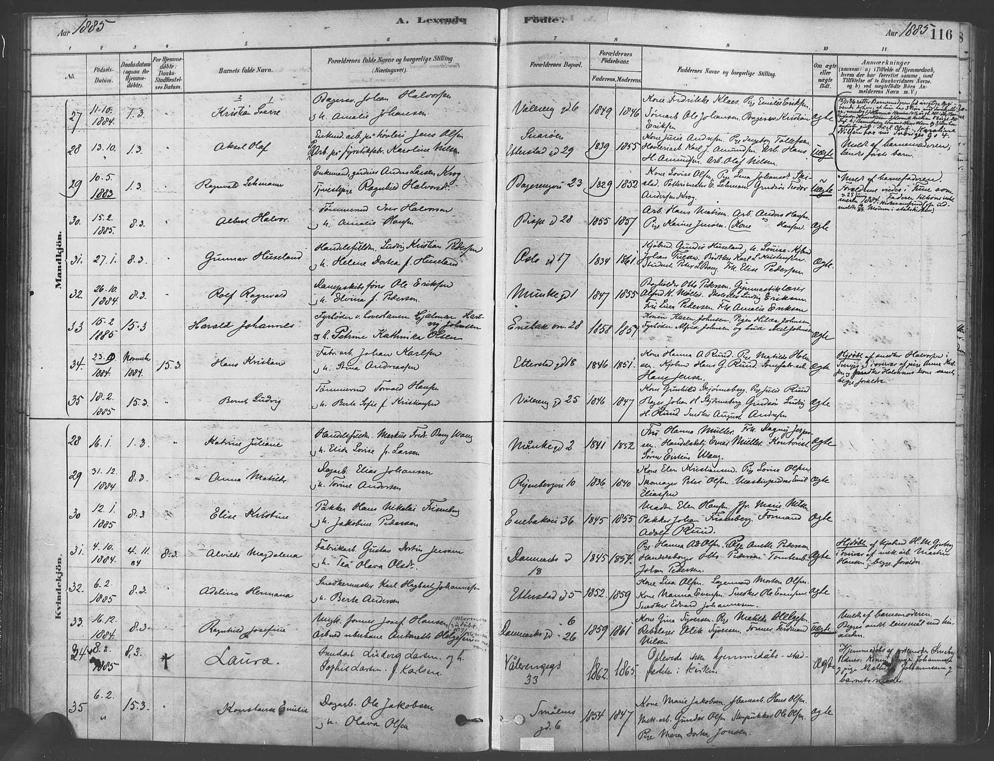 Gamlebyen prestekontor Kirkebøker, AV/SAO-A-10884/F/Fa/L0005: Ministerialbok nr. 5, 1878-1889, s. 116