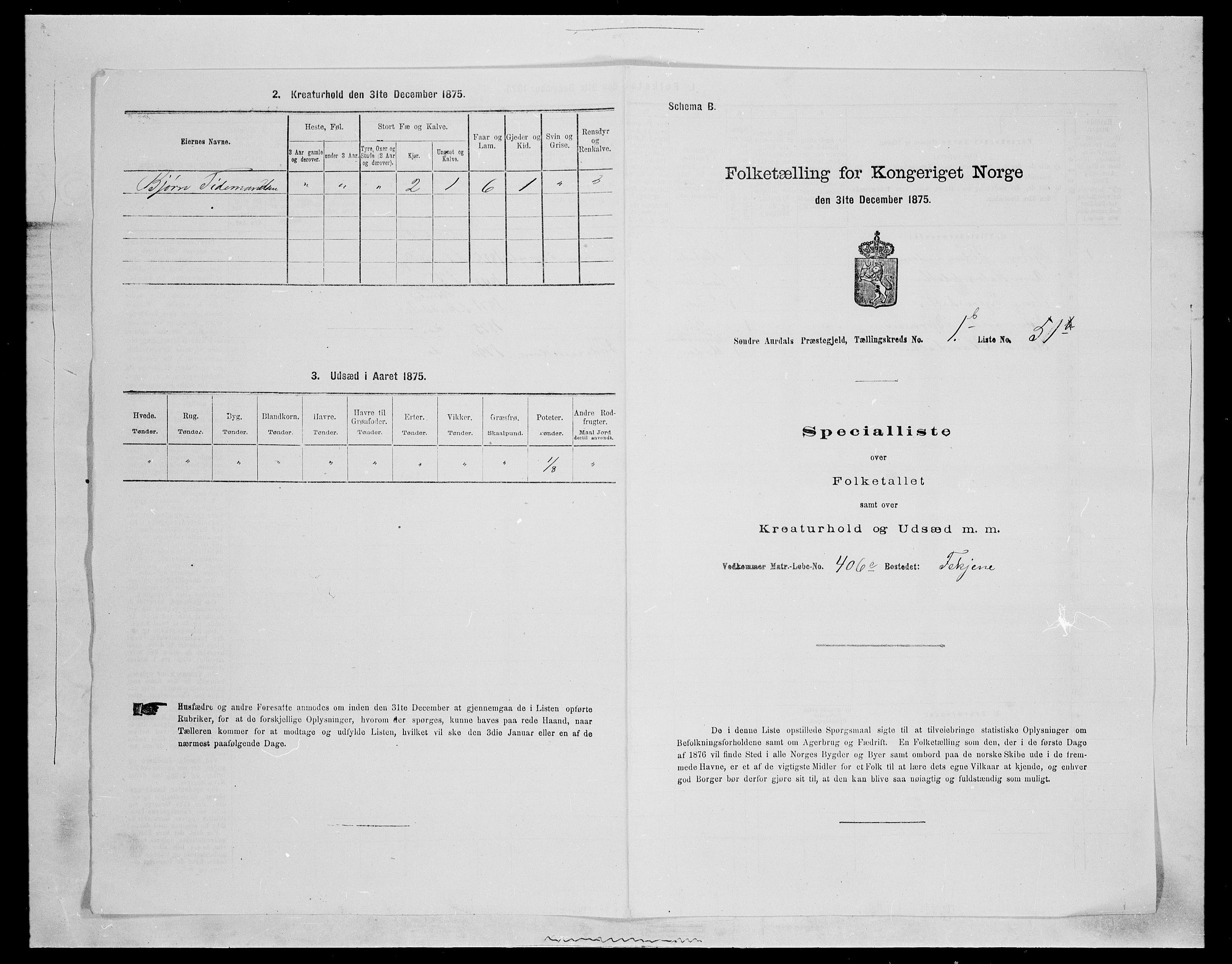 SAH, Folketelling 1875 for 0540P Sør-Aurdal prestegjeld, 1875, s. 407