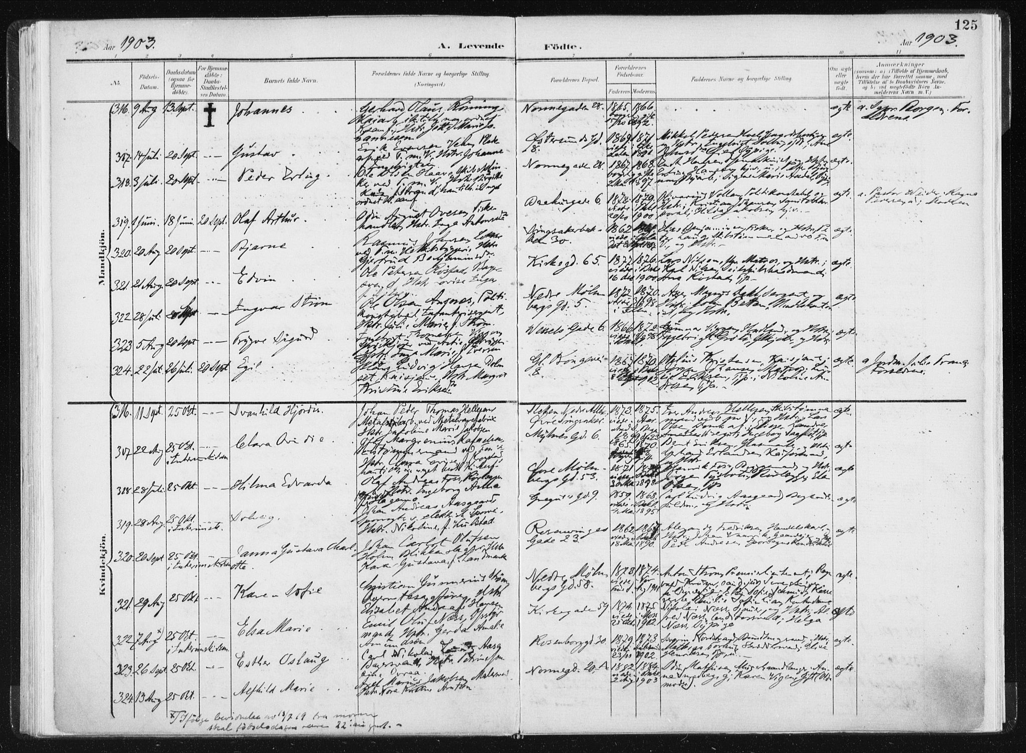 Ministerialprotokoller, klokkerbøker og fødselsregistre - Sør-Trøndelag, SAT/A-1456/604/L0199: Ministerialbok nr. 604A20I, 1901-1906, s. 125