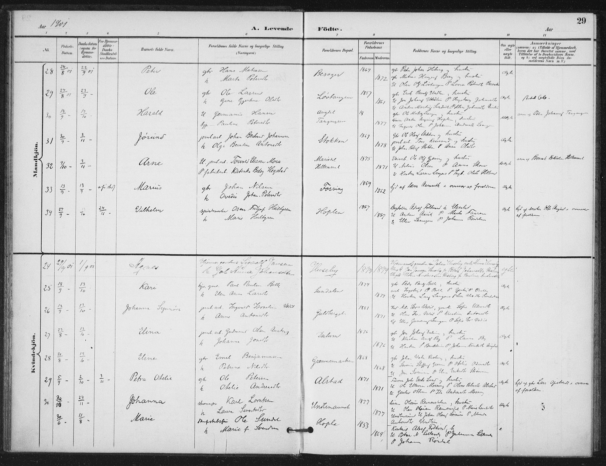 Ministerialprotokoller, klokkerbøker og fødselsregistre - Nord-Trøndelag, SAT/A-1458/714/L0131: Ministerialbok nr. 714A02, 1896-1918, s. 29