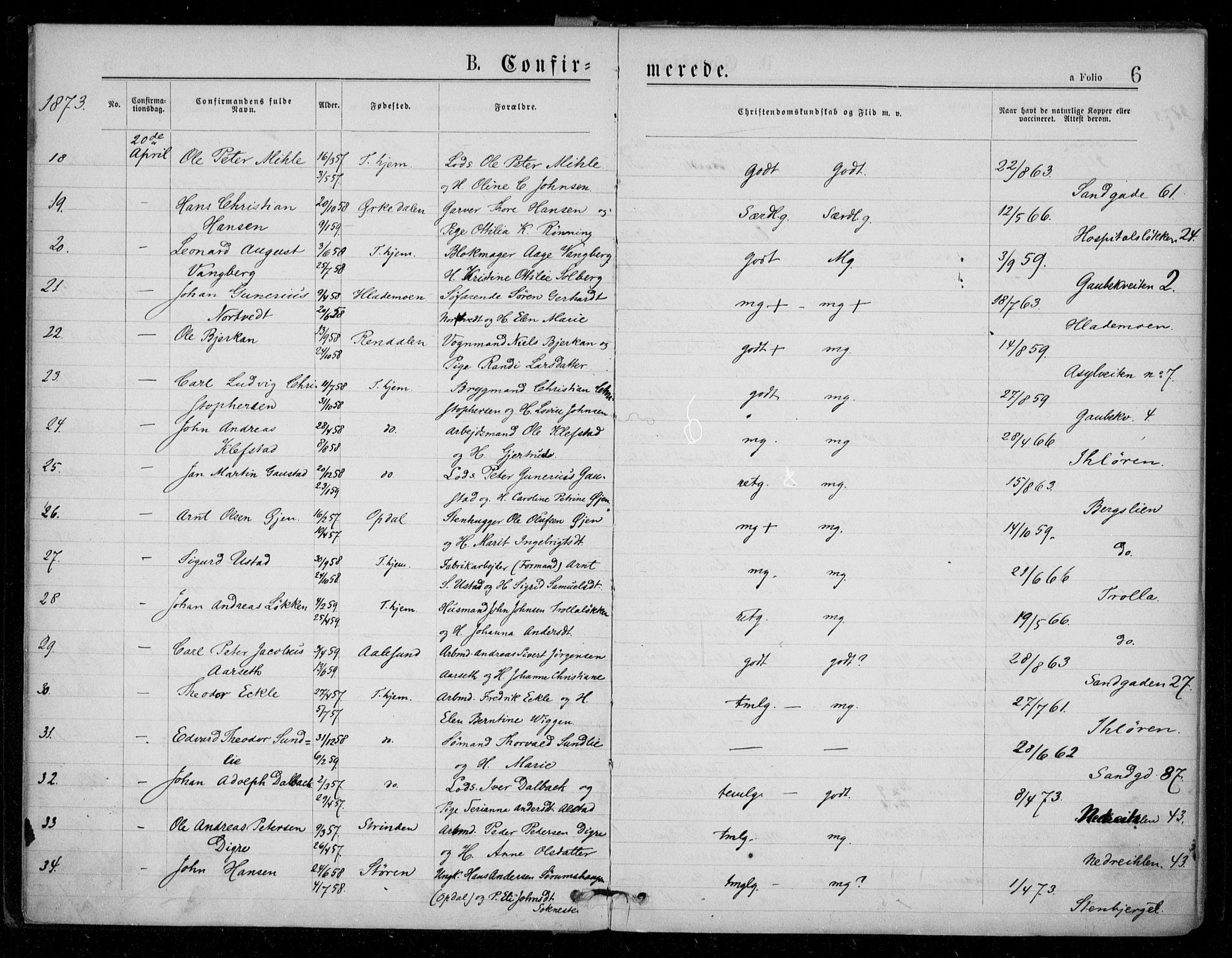 Ministerialprotokoller, klokkerbøker og fødselsregistre - Sør-Trøndelag, SAT/A-1456/602/L0121: Ministerialbok nr. 602A19, 1872-1879, s. 6